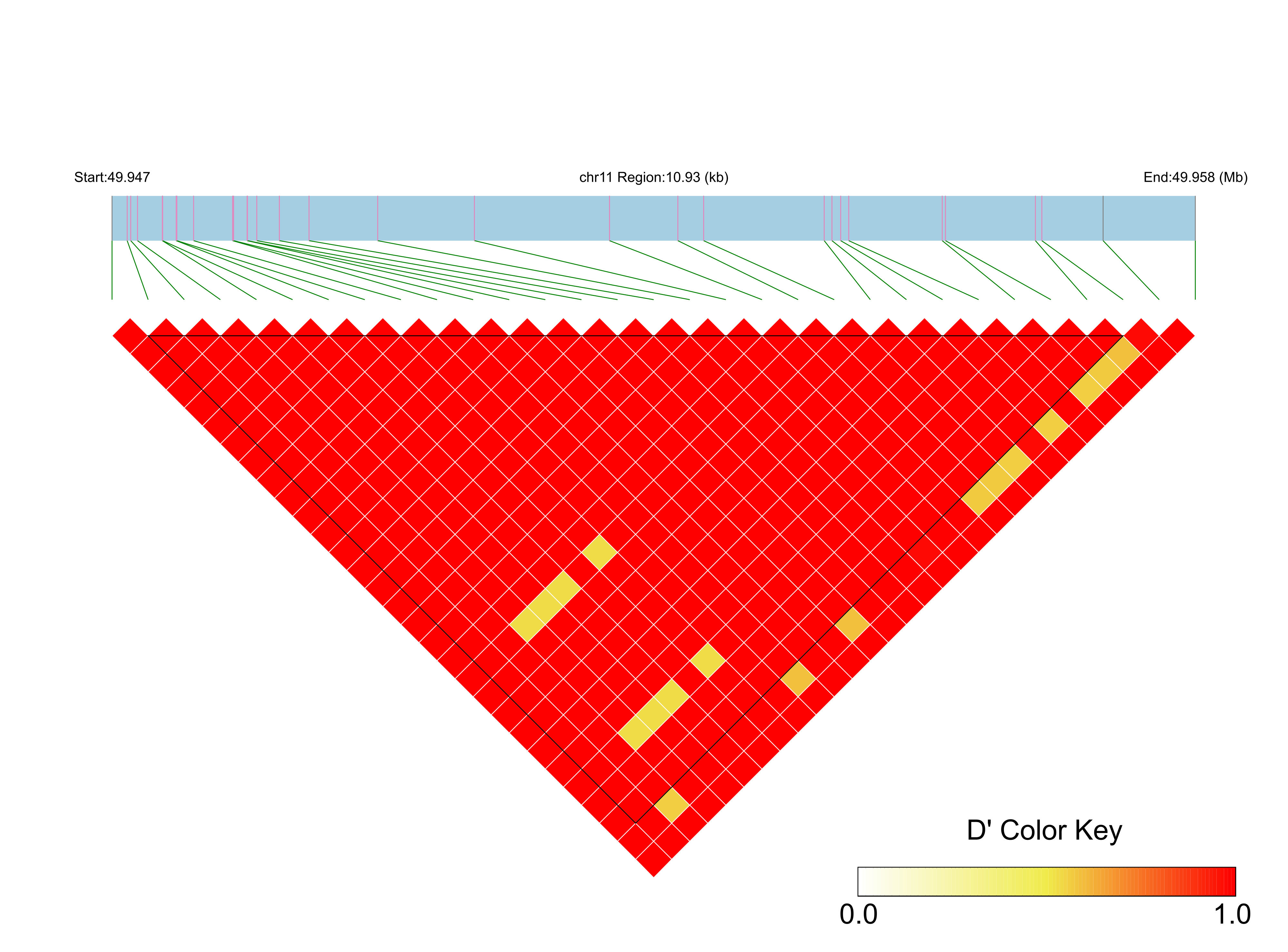 LD