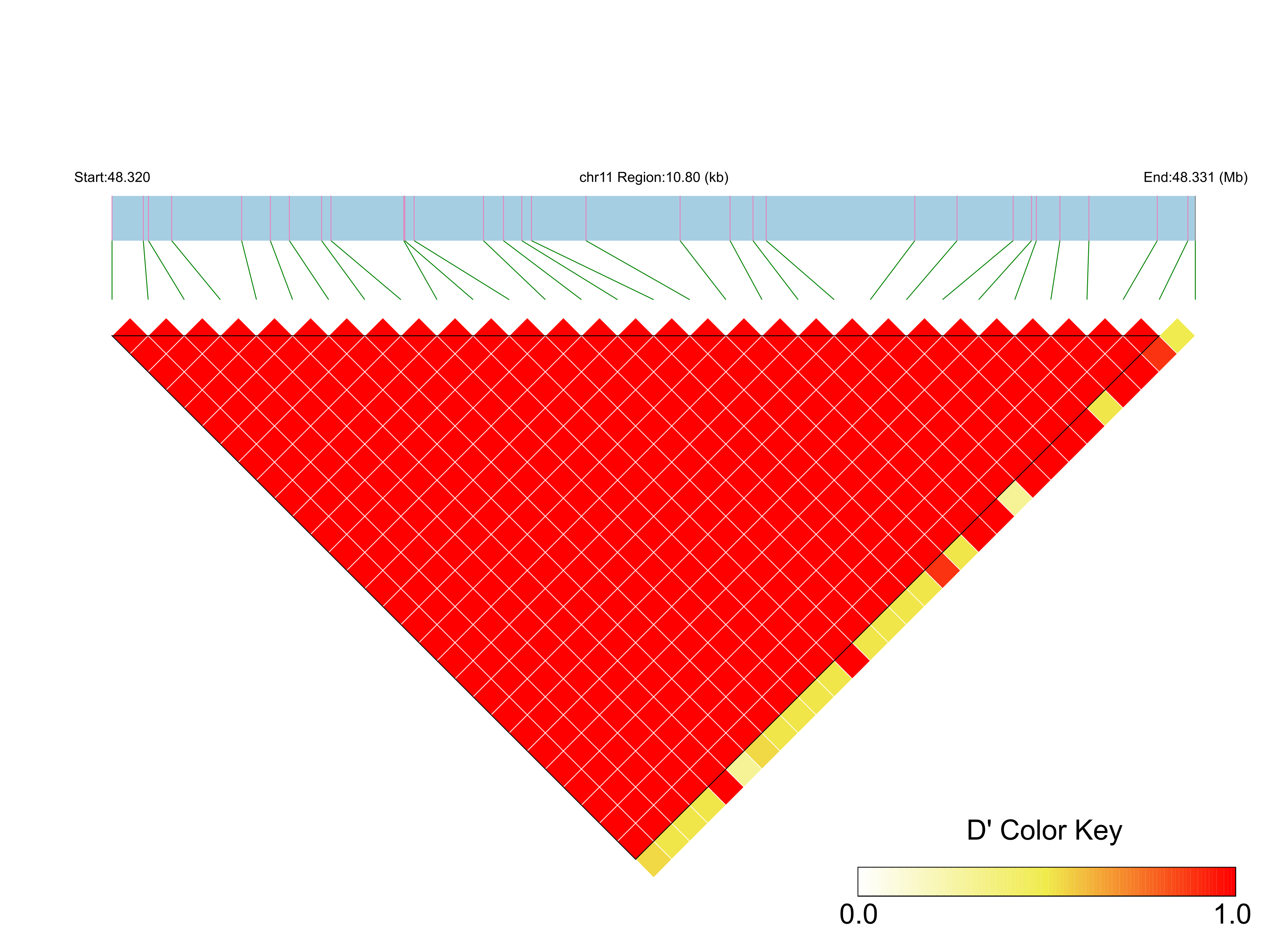 LD