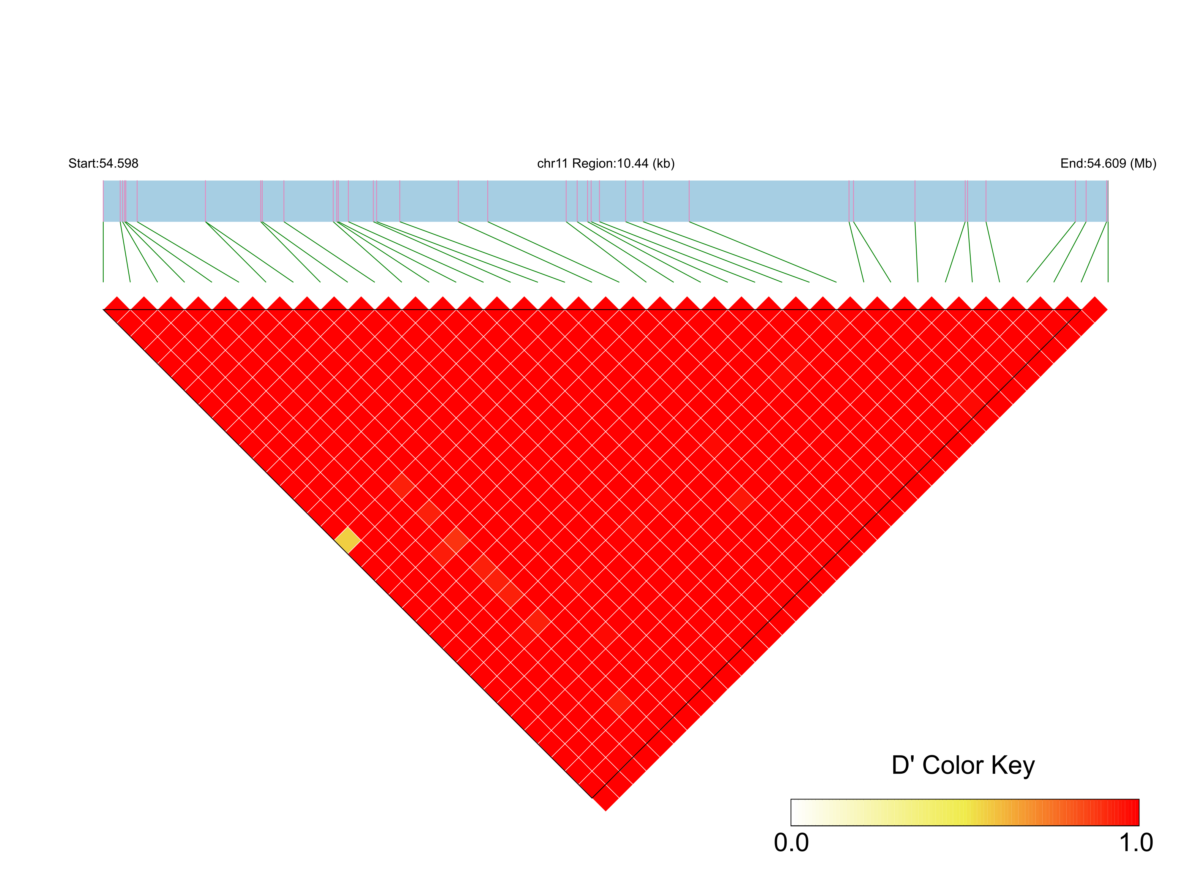 LD