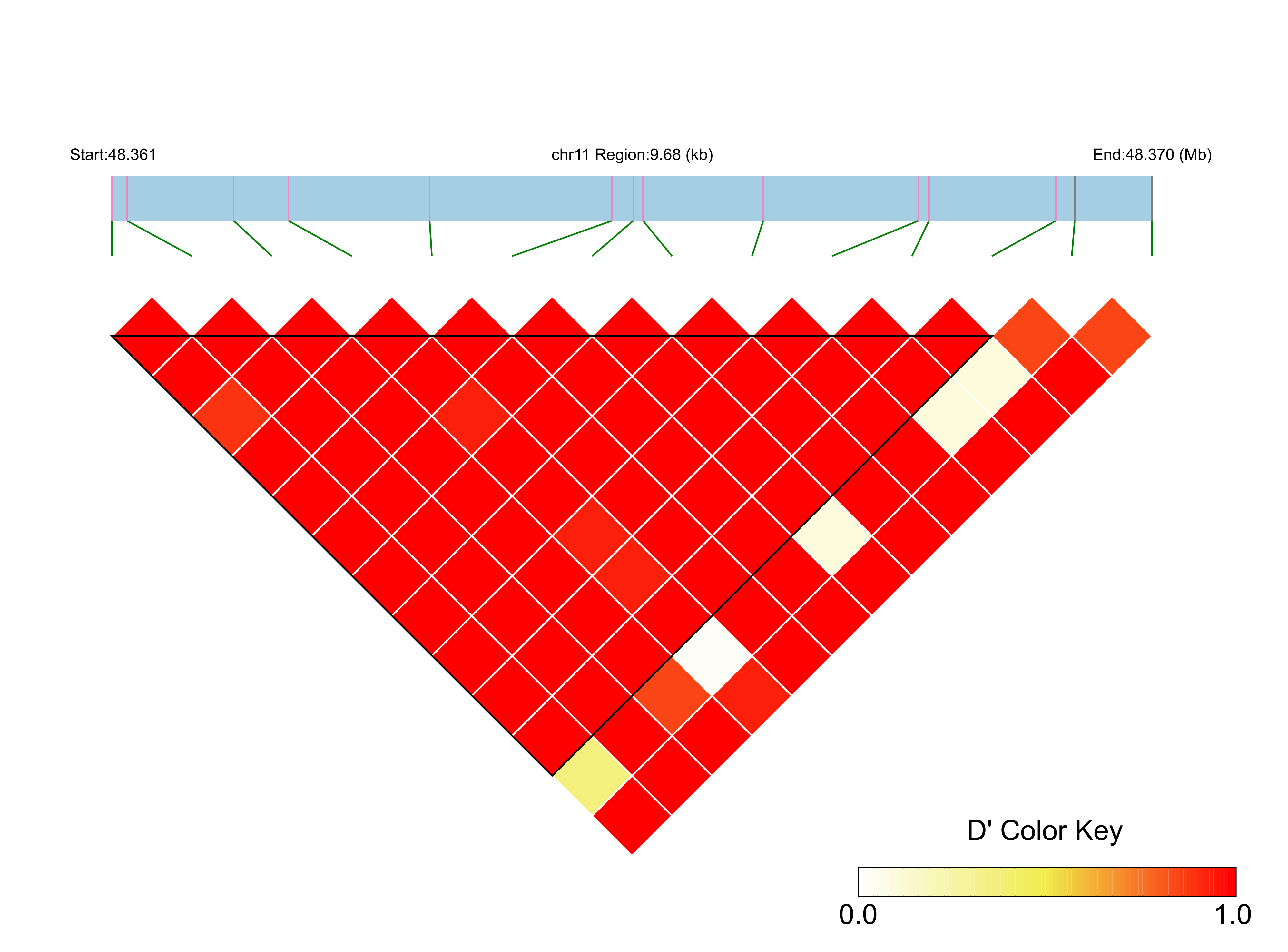 LD