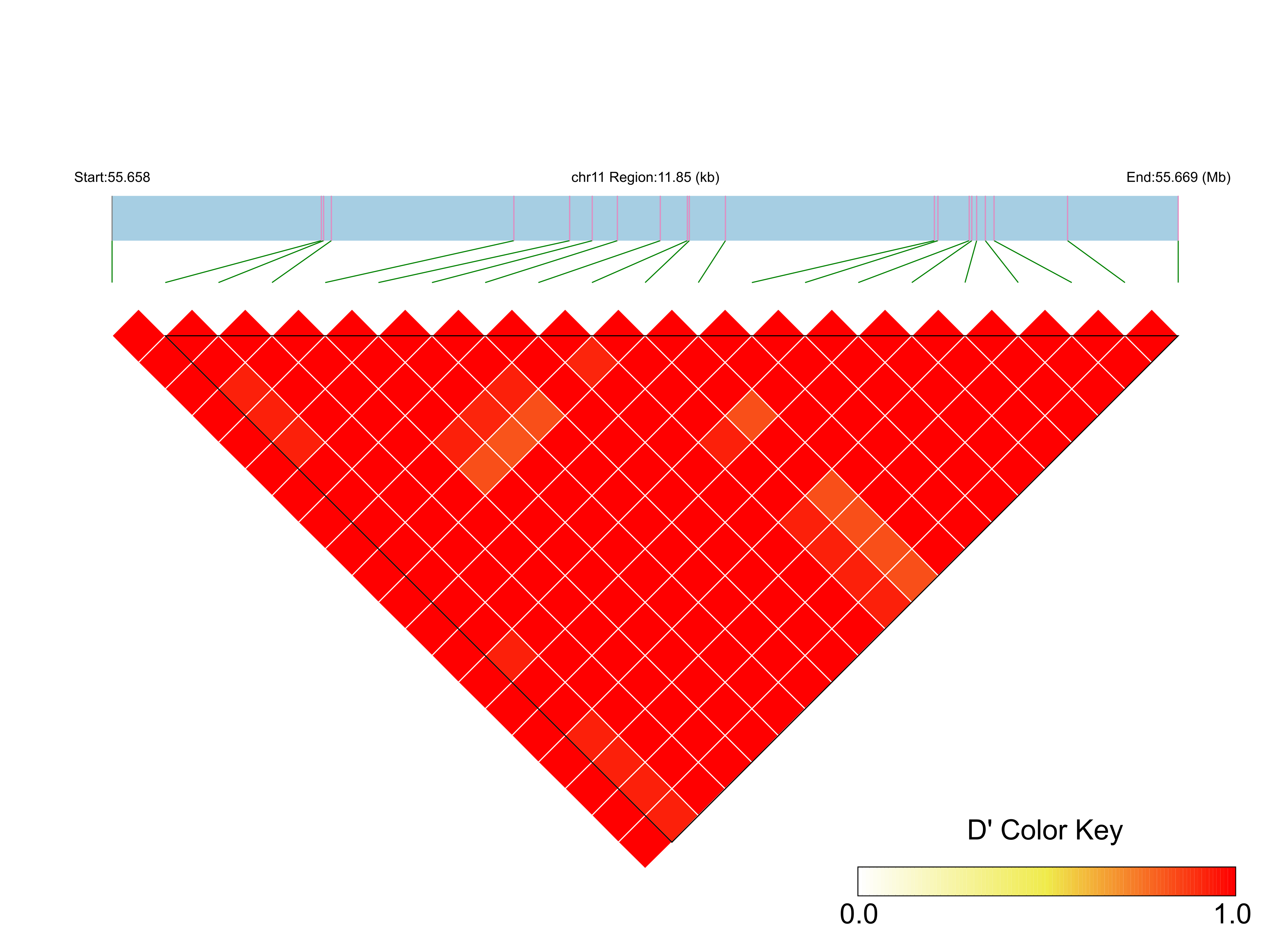 LD