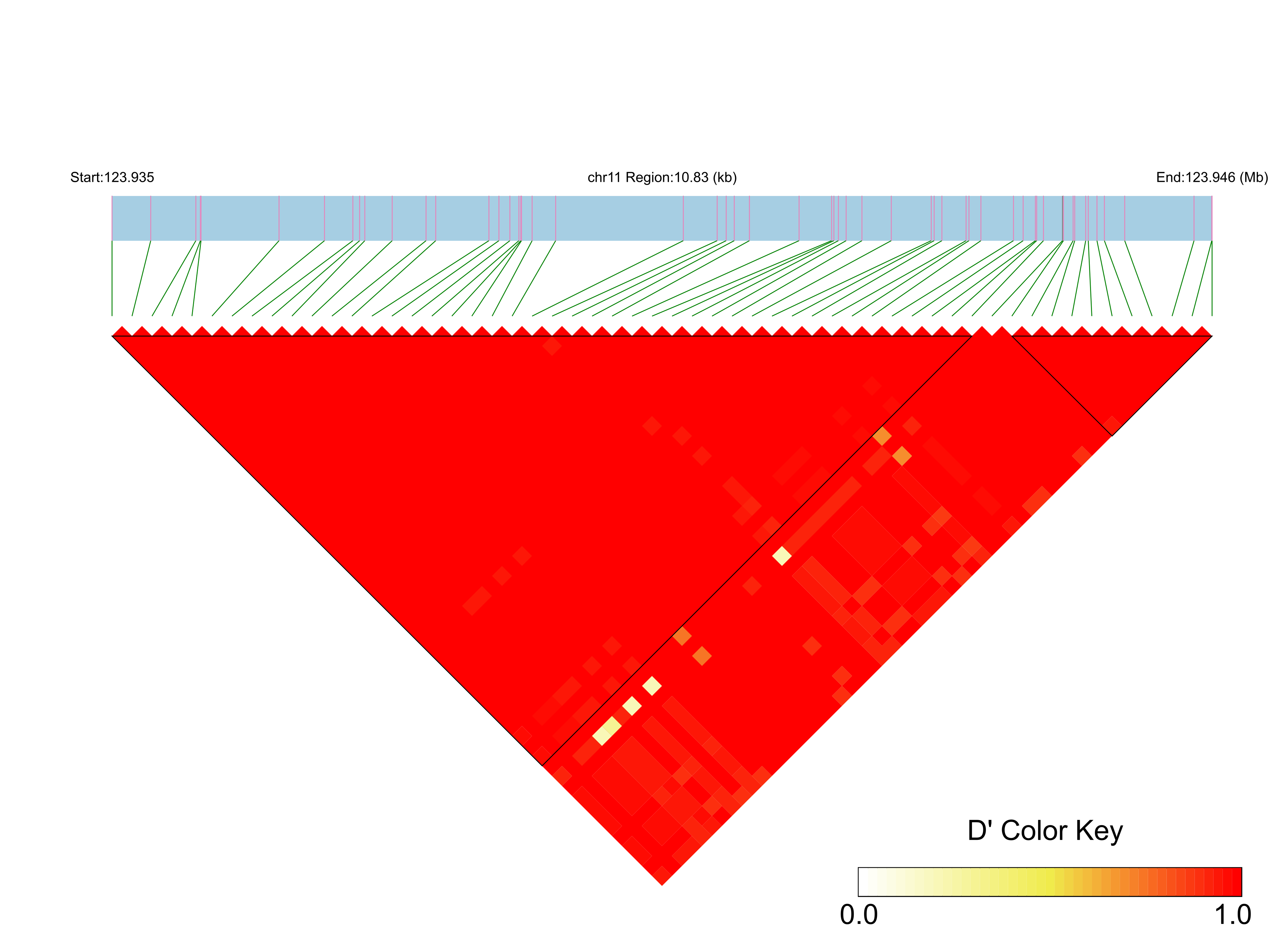 LD