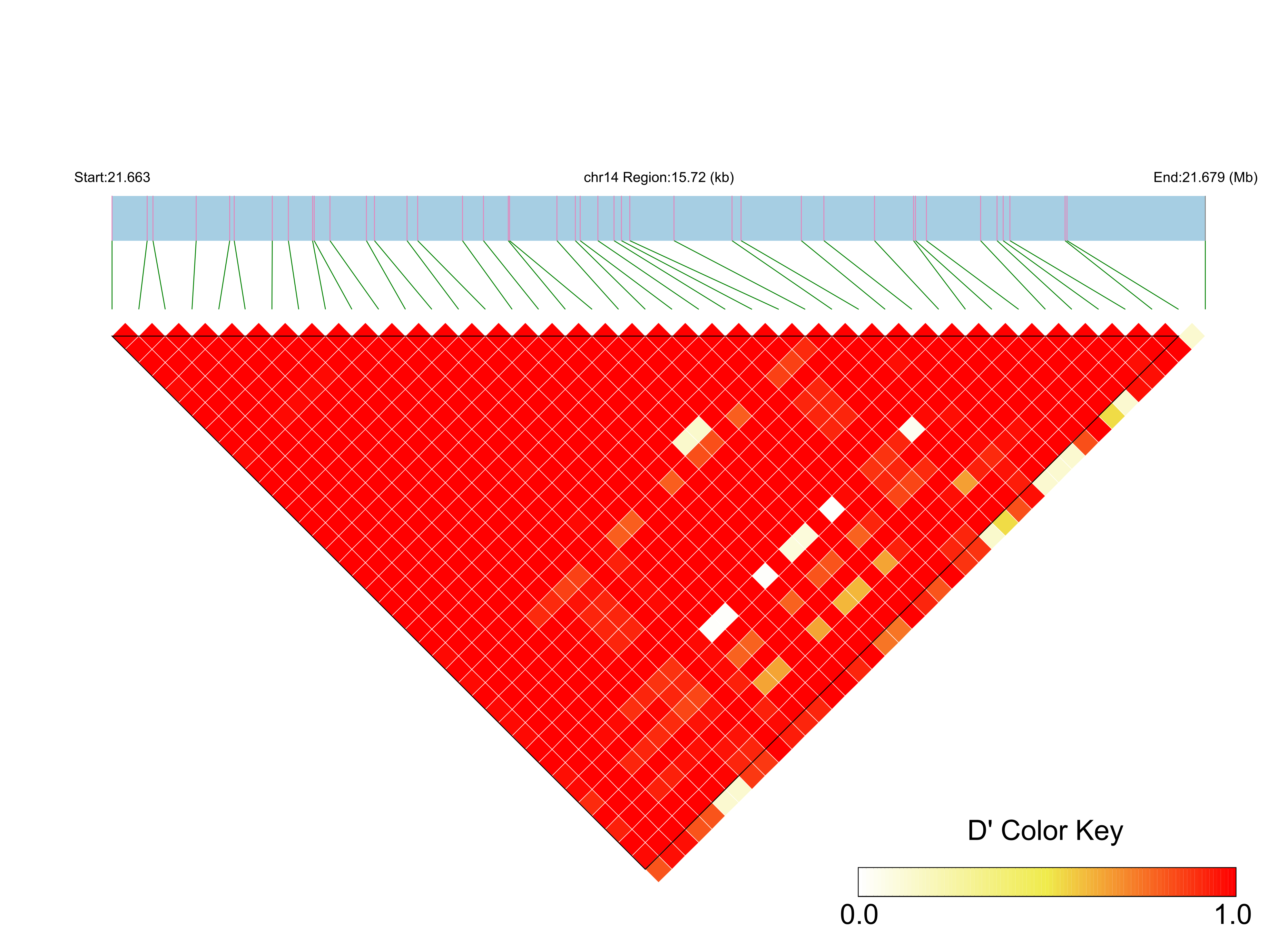 LD
