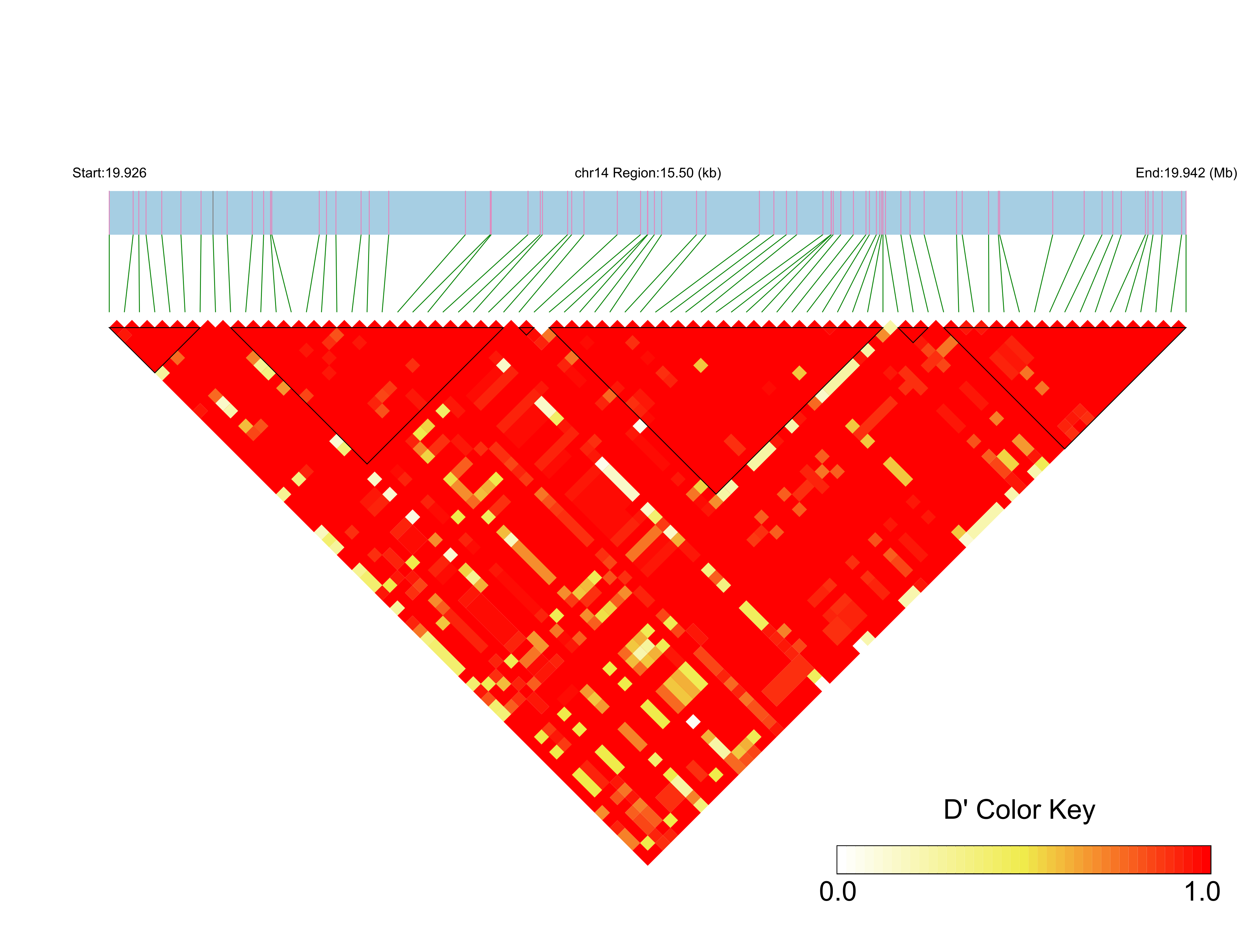 LD