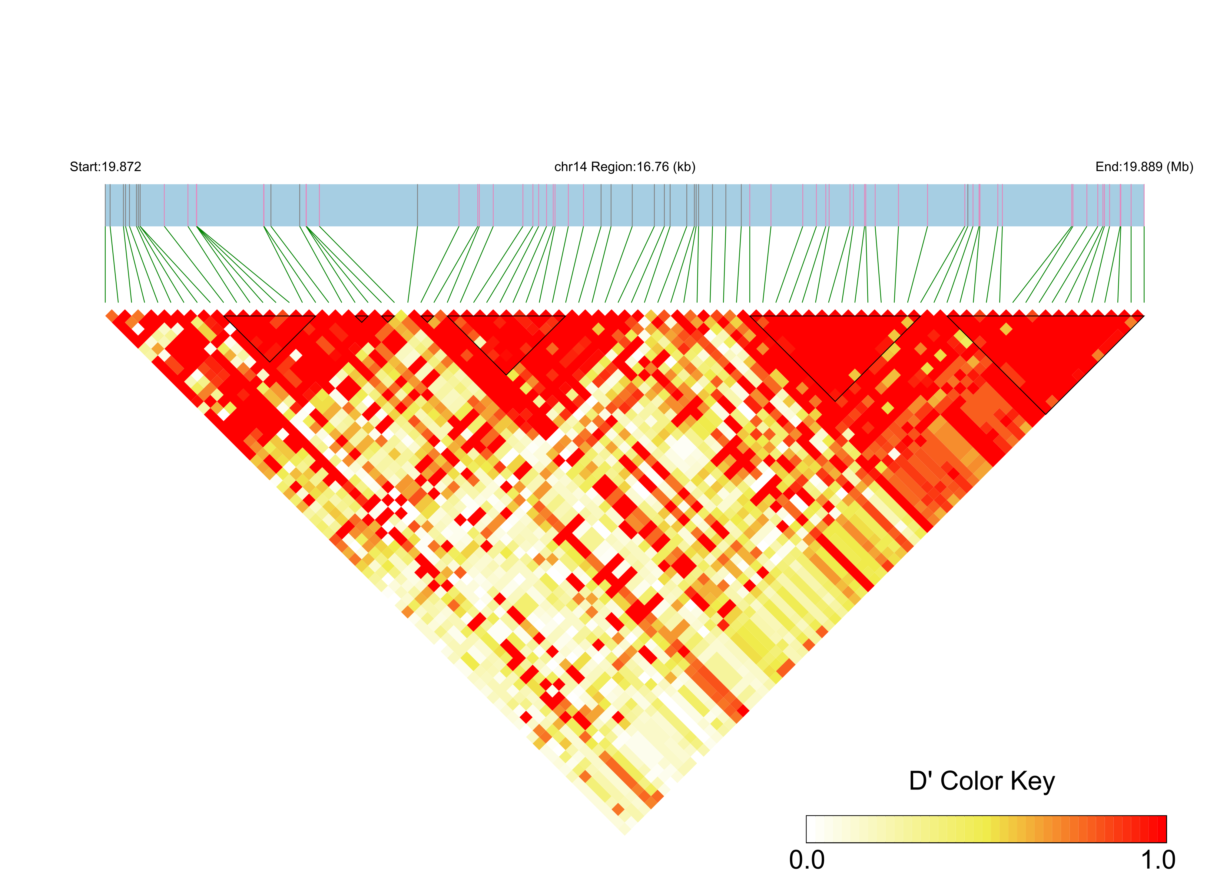 LD