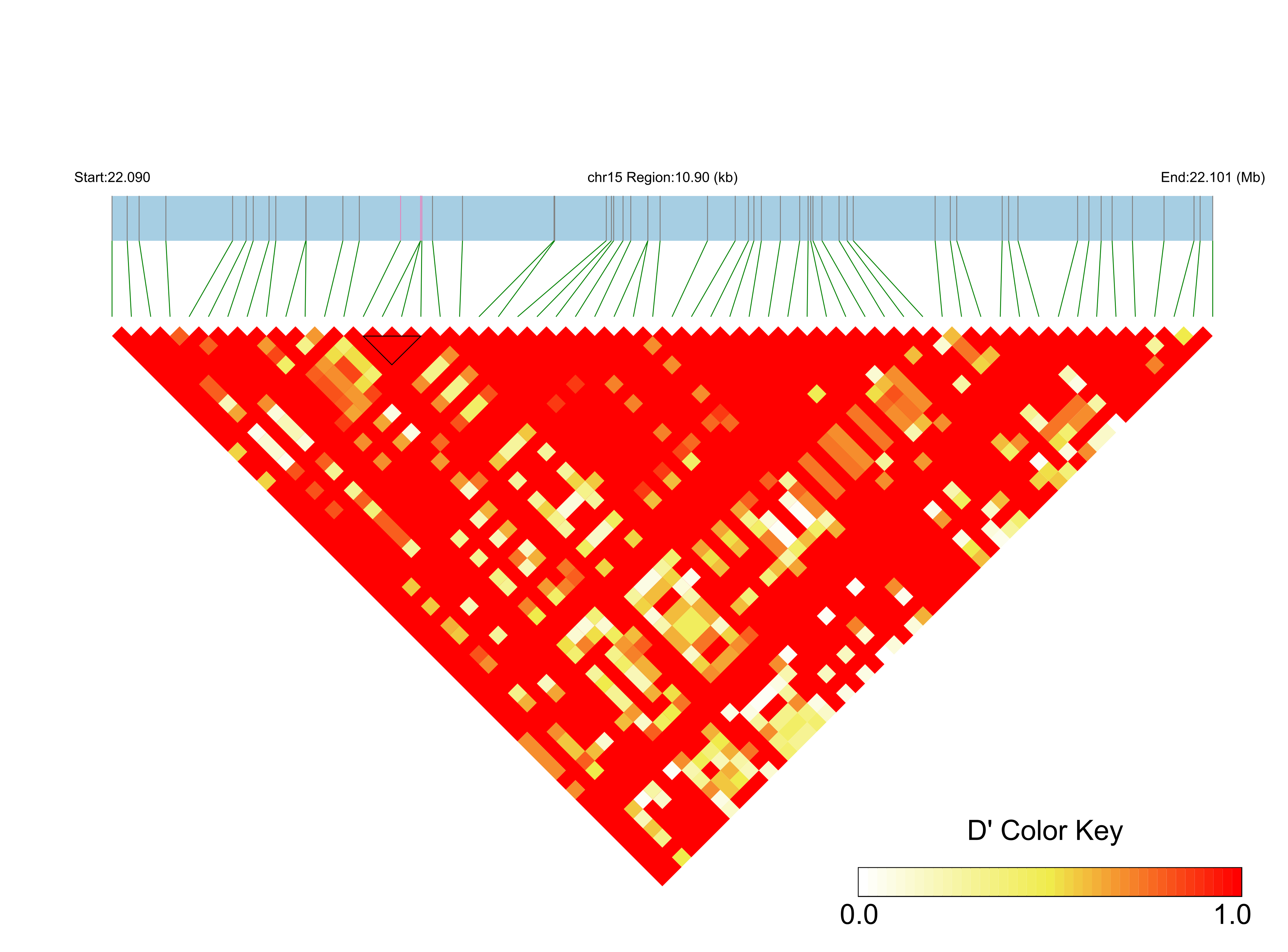 LD
