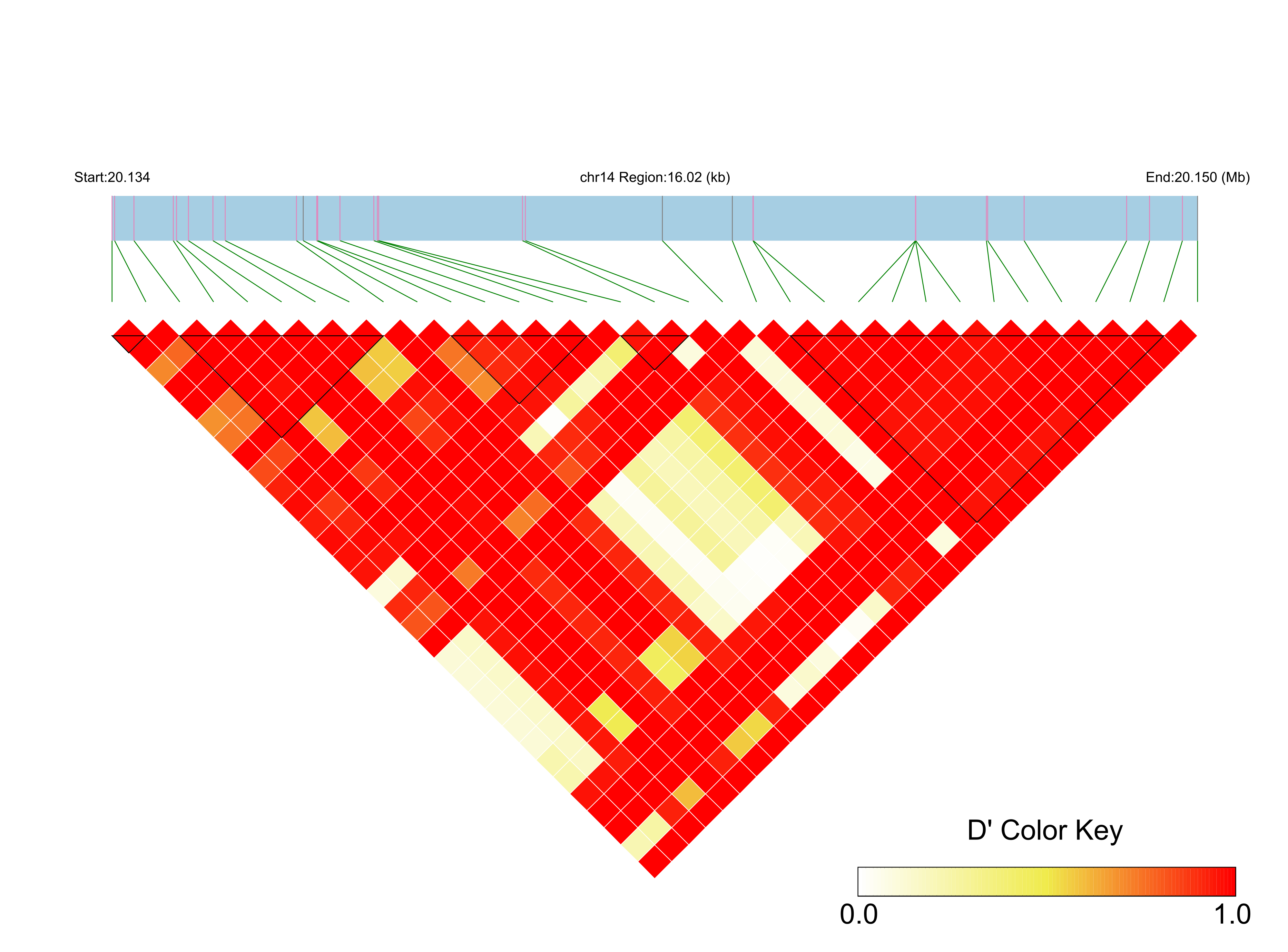 LD