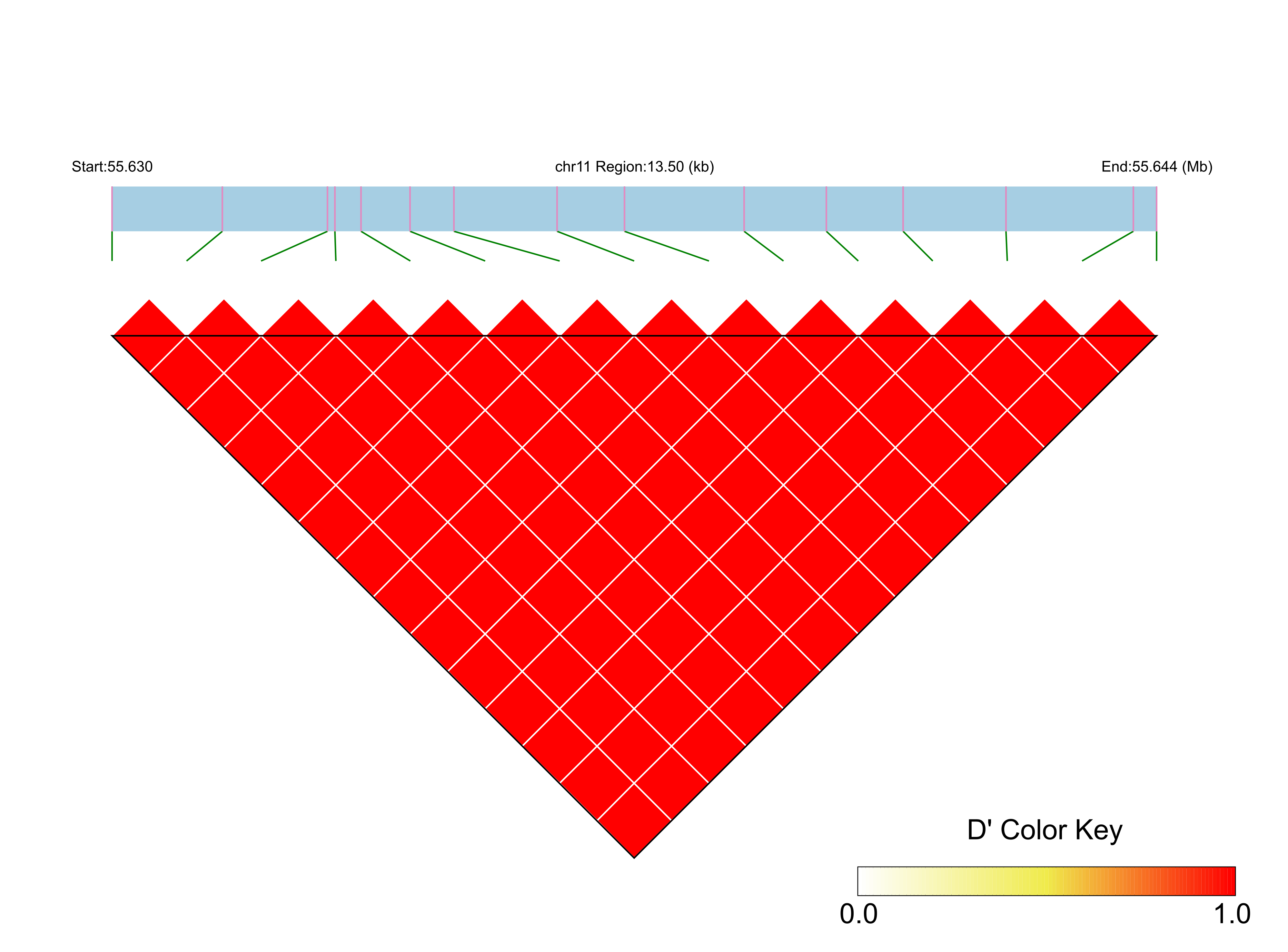 LD