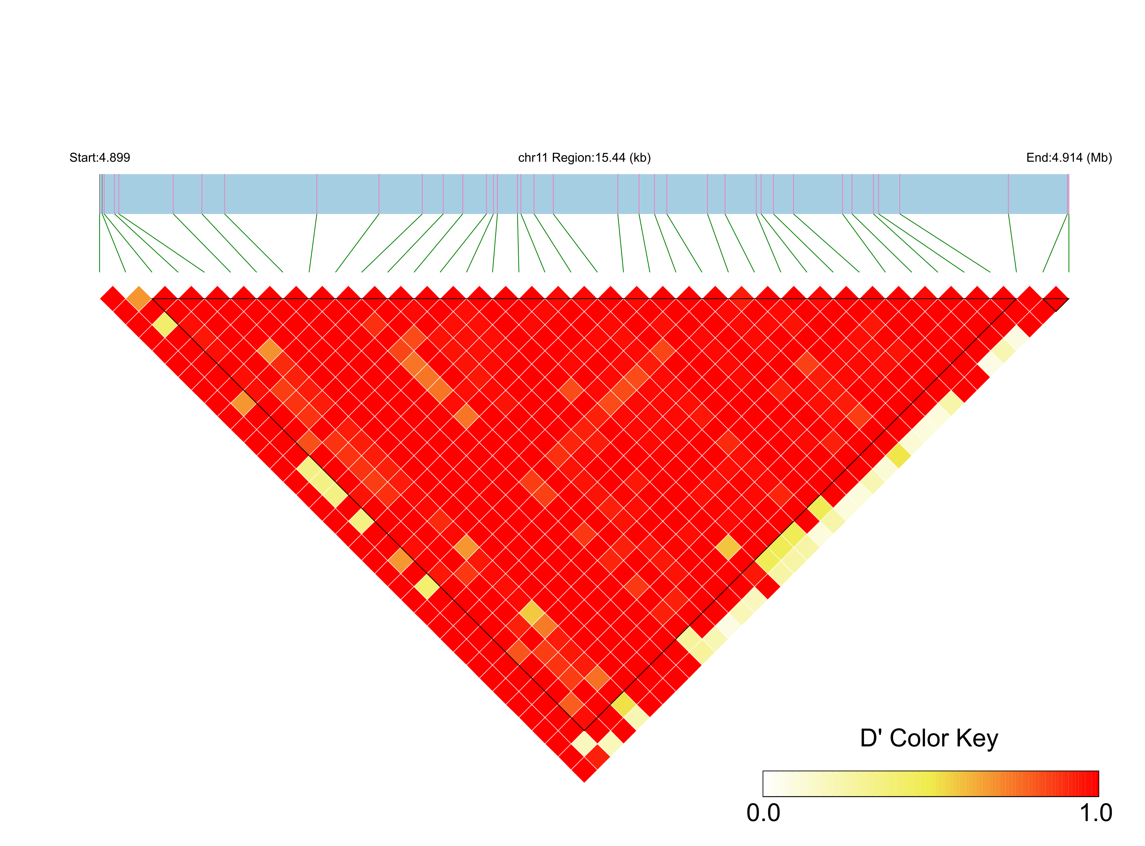 LD