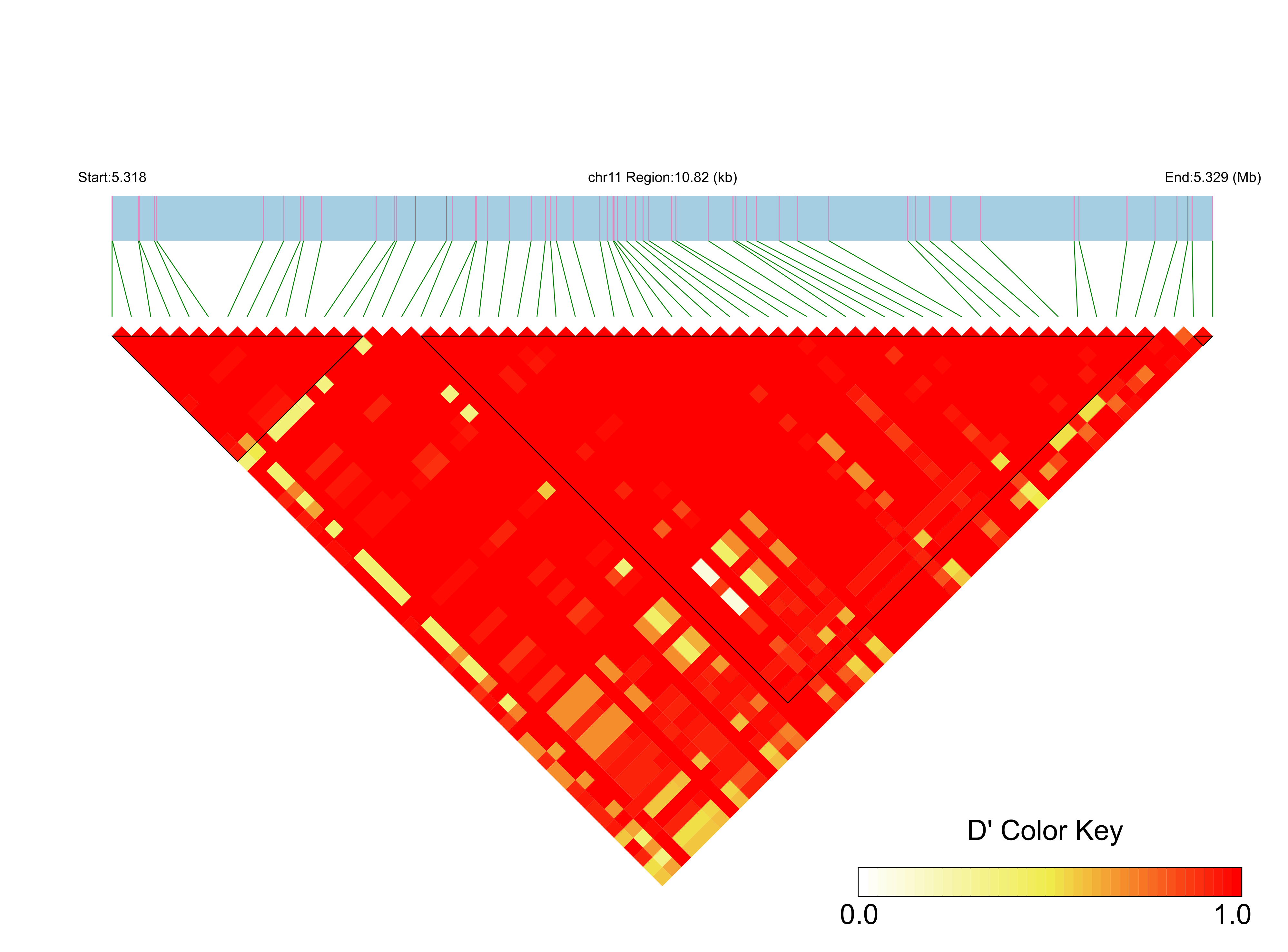 LD