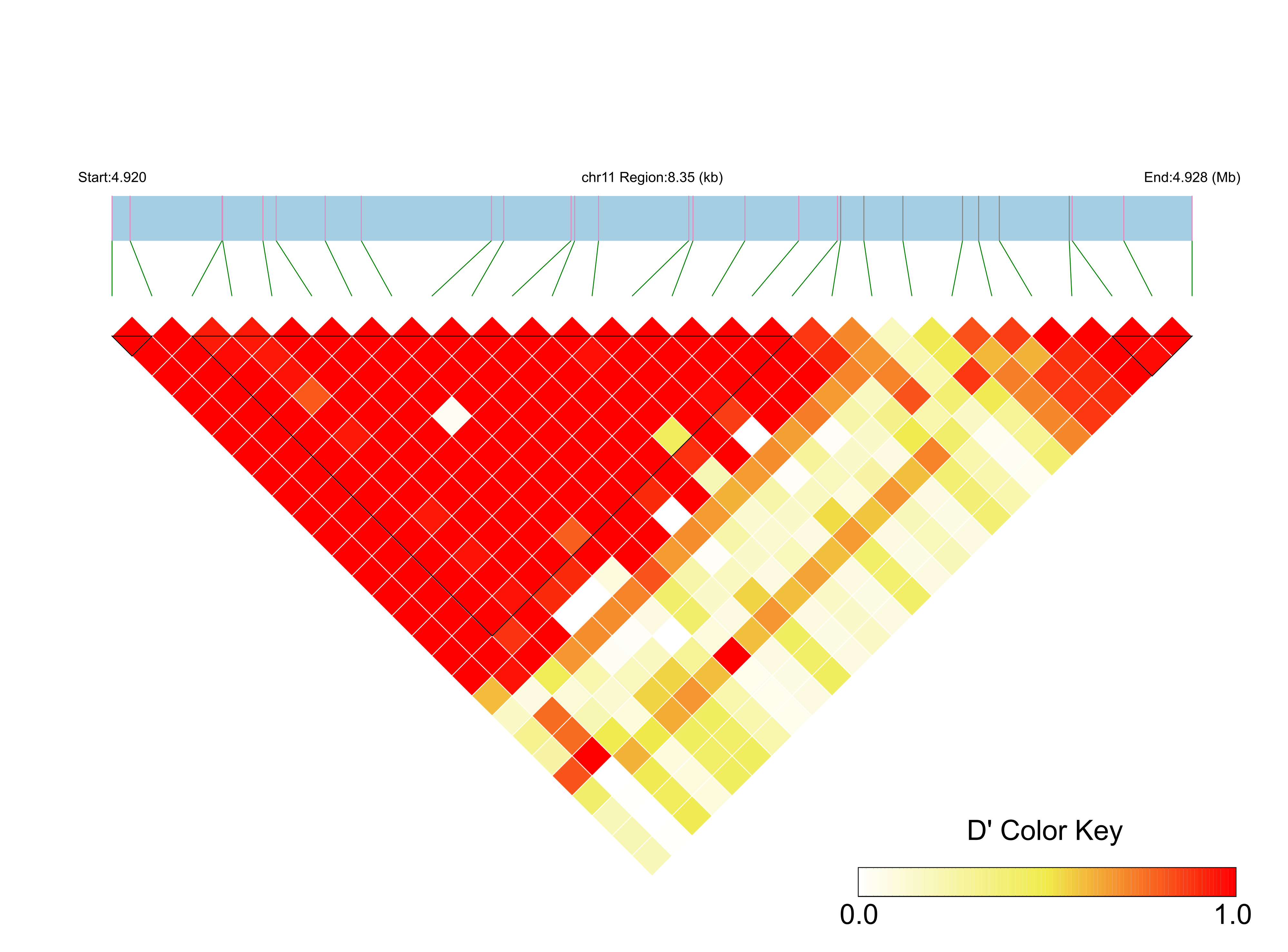 LD