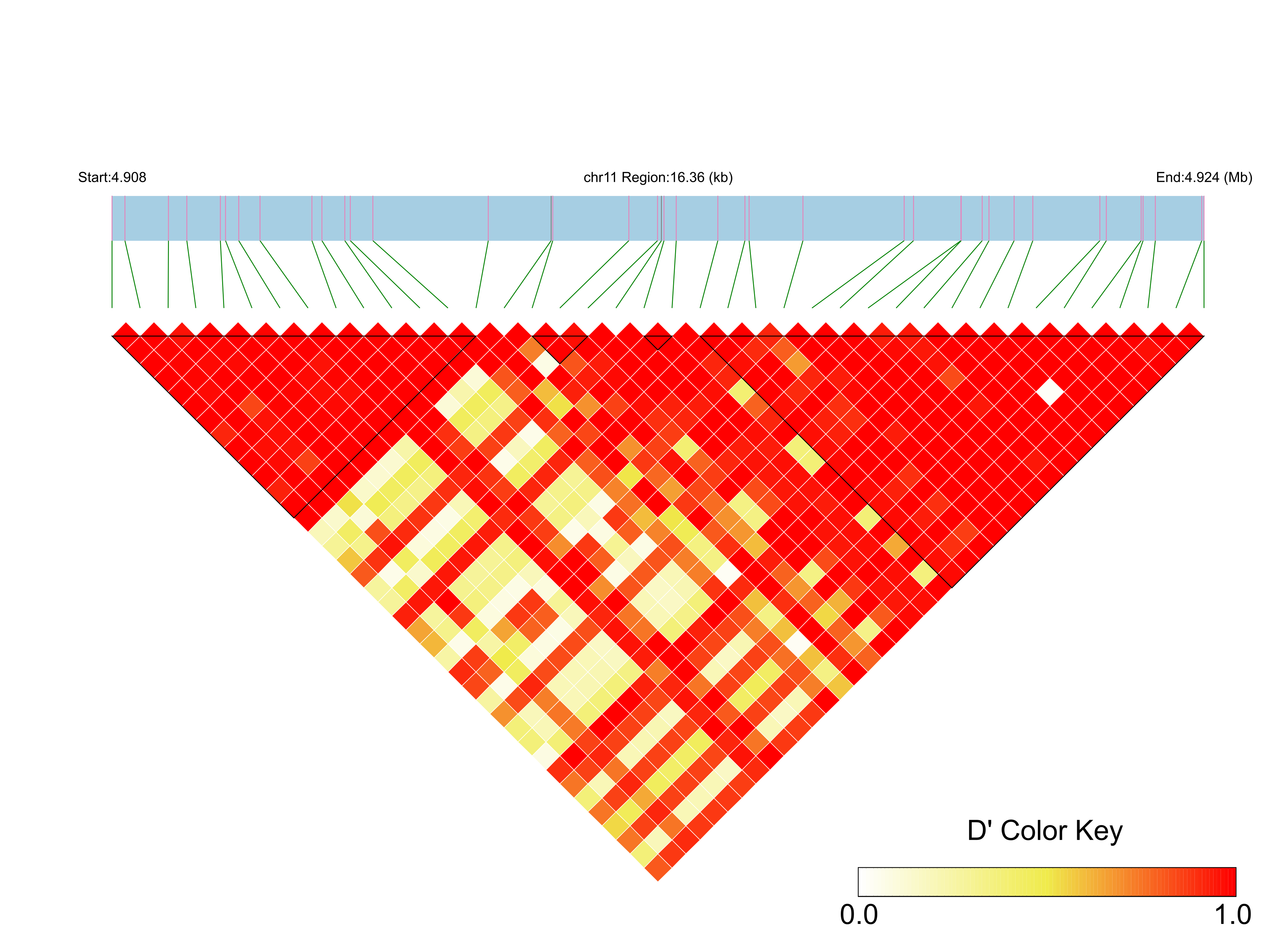 LD