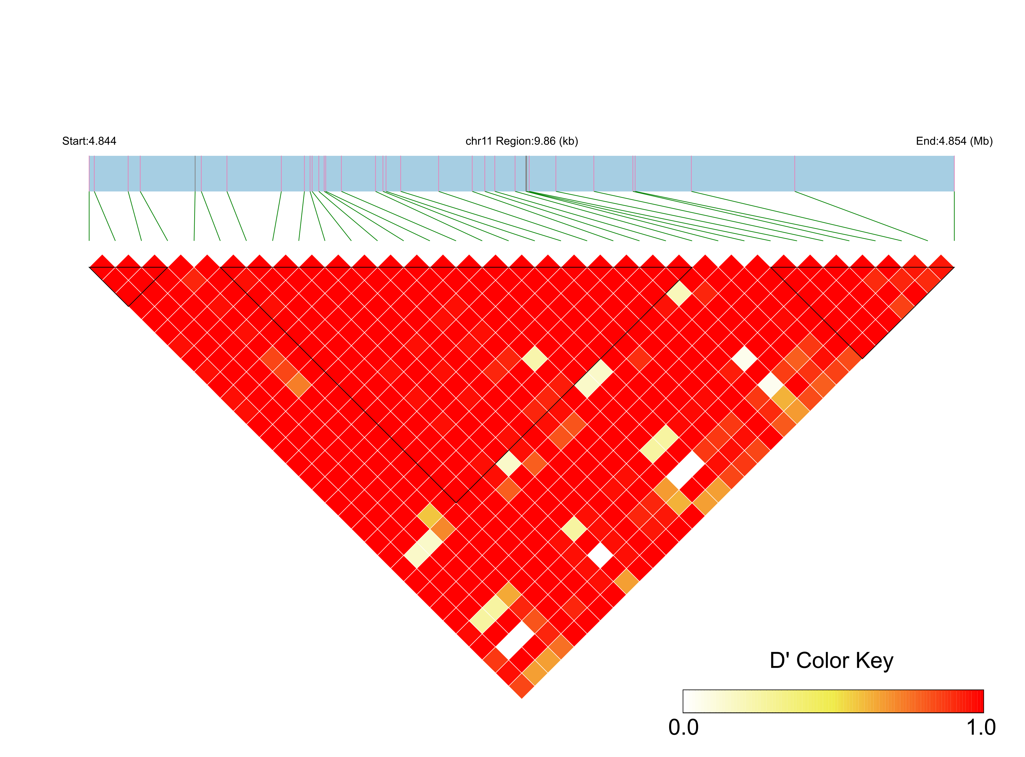LD