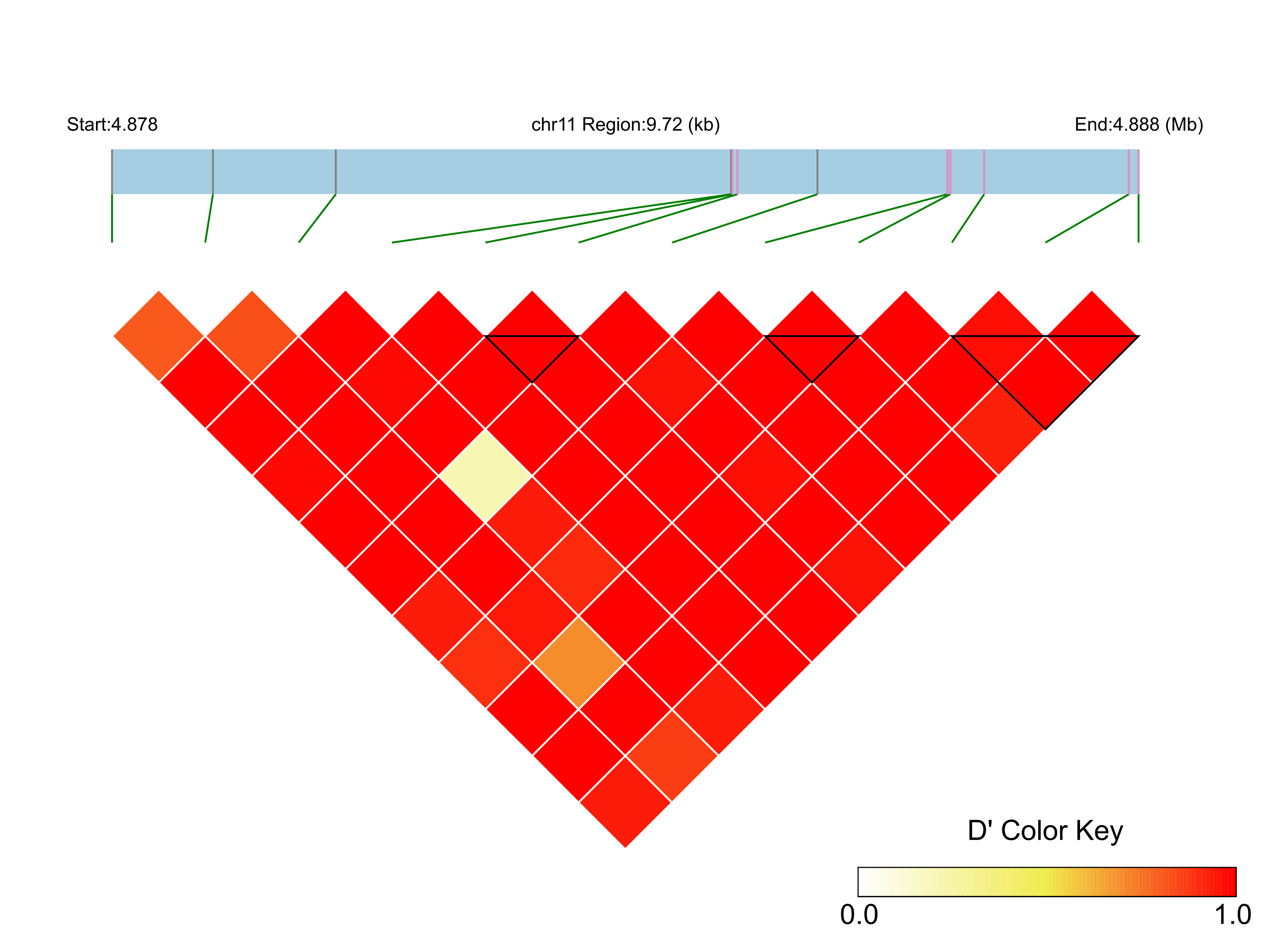 LD