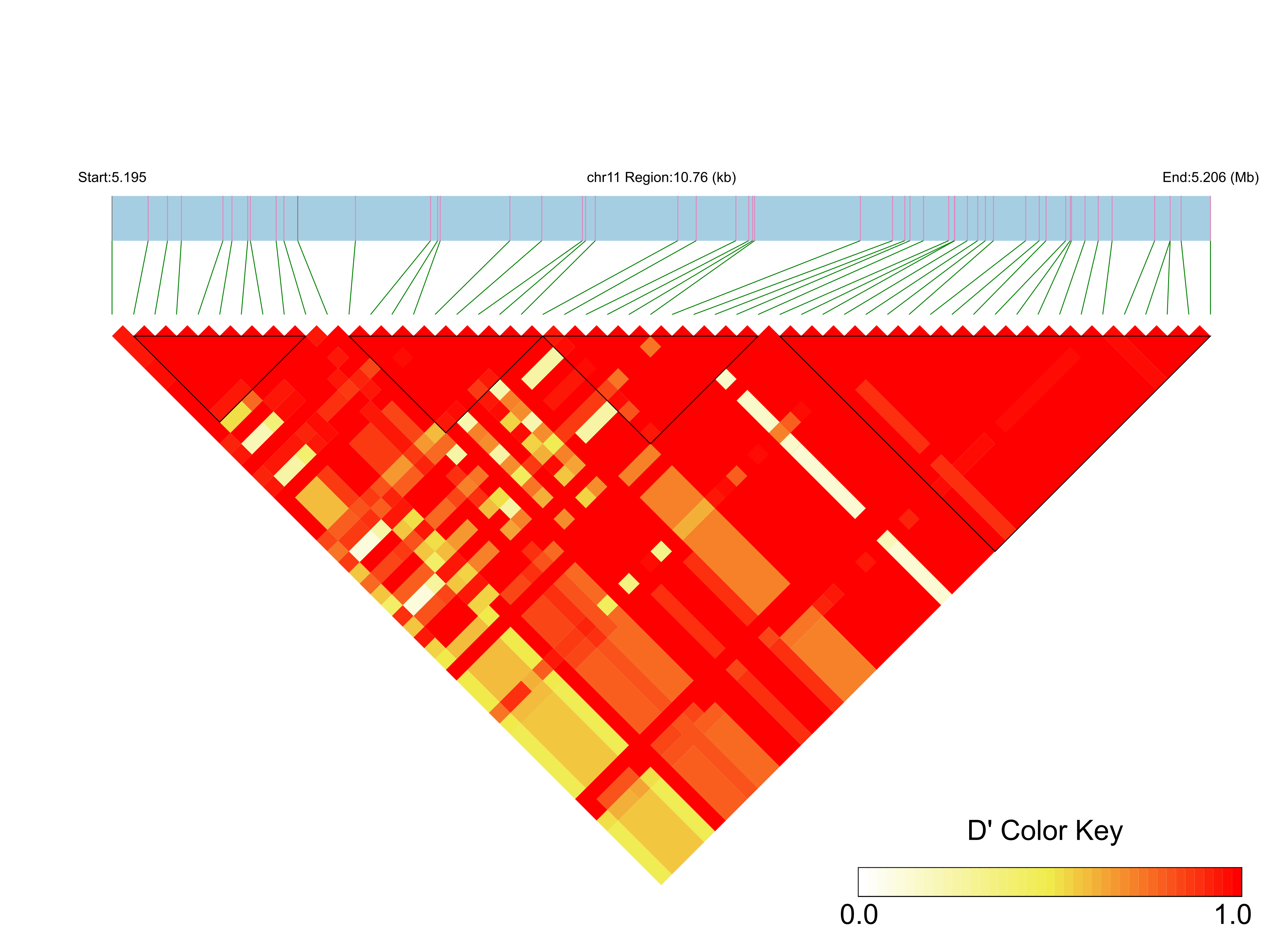 LD