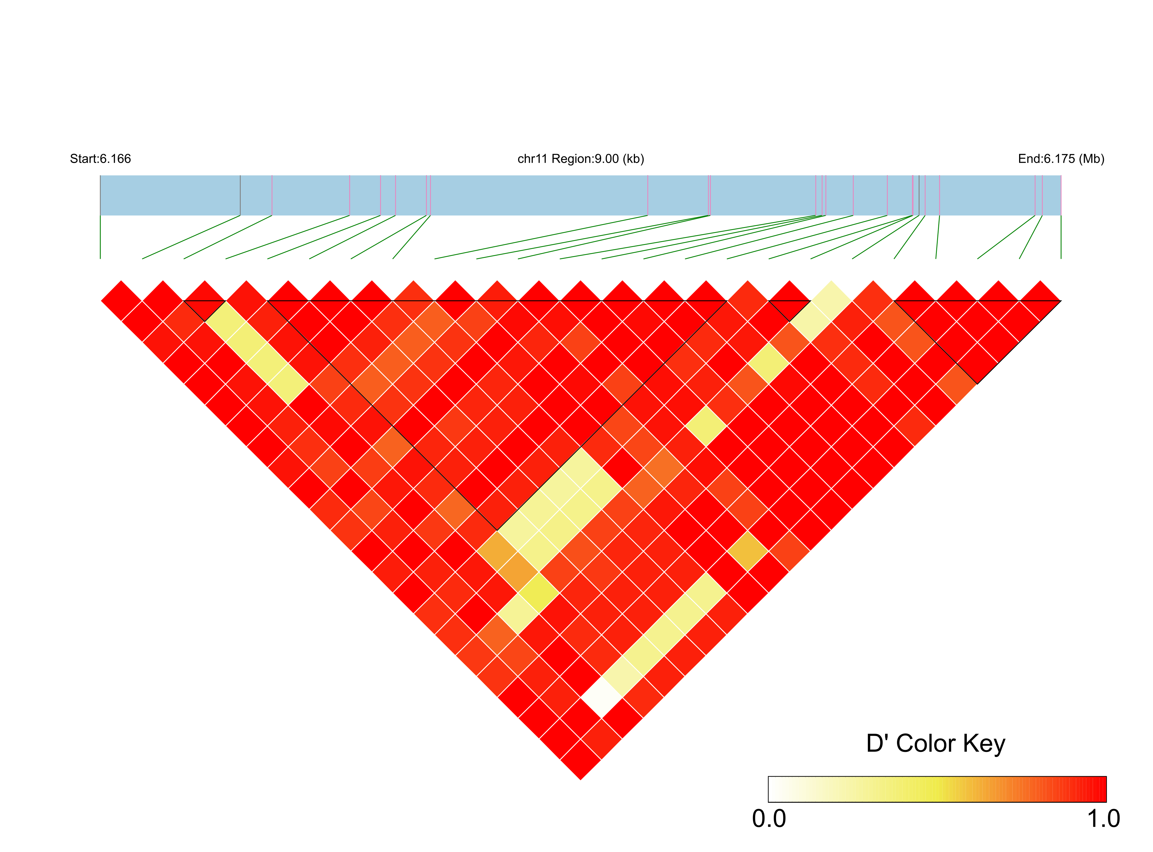 LD