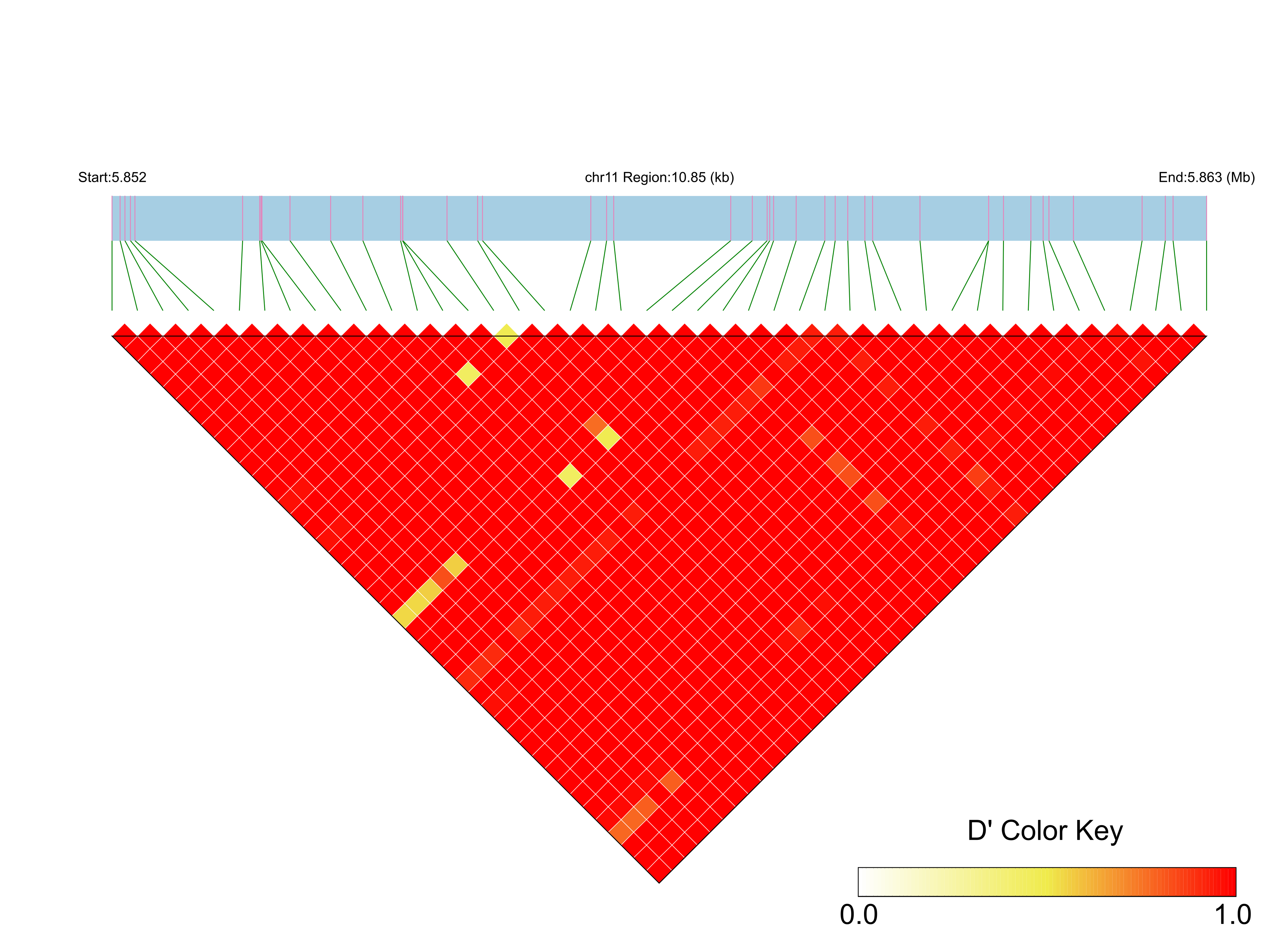 LD
