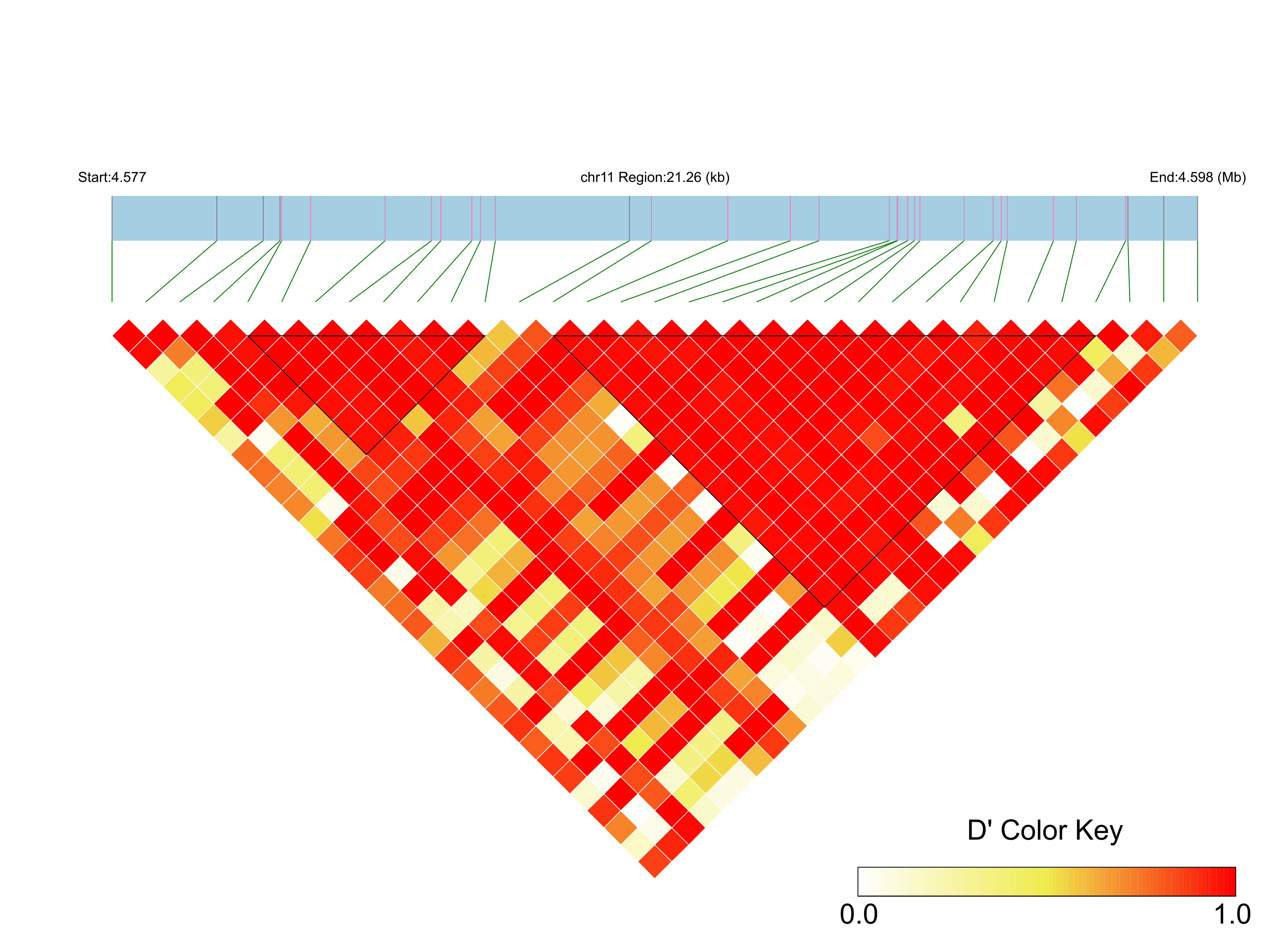 LD
