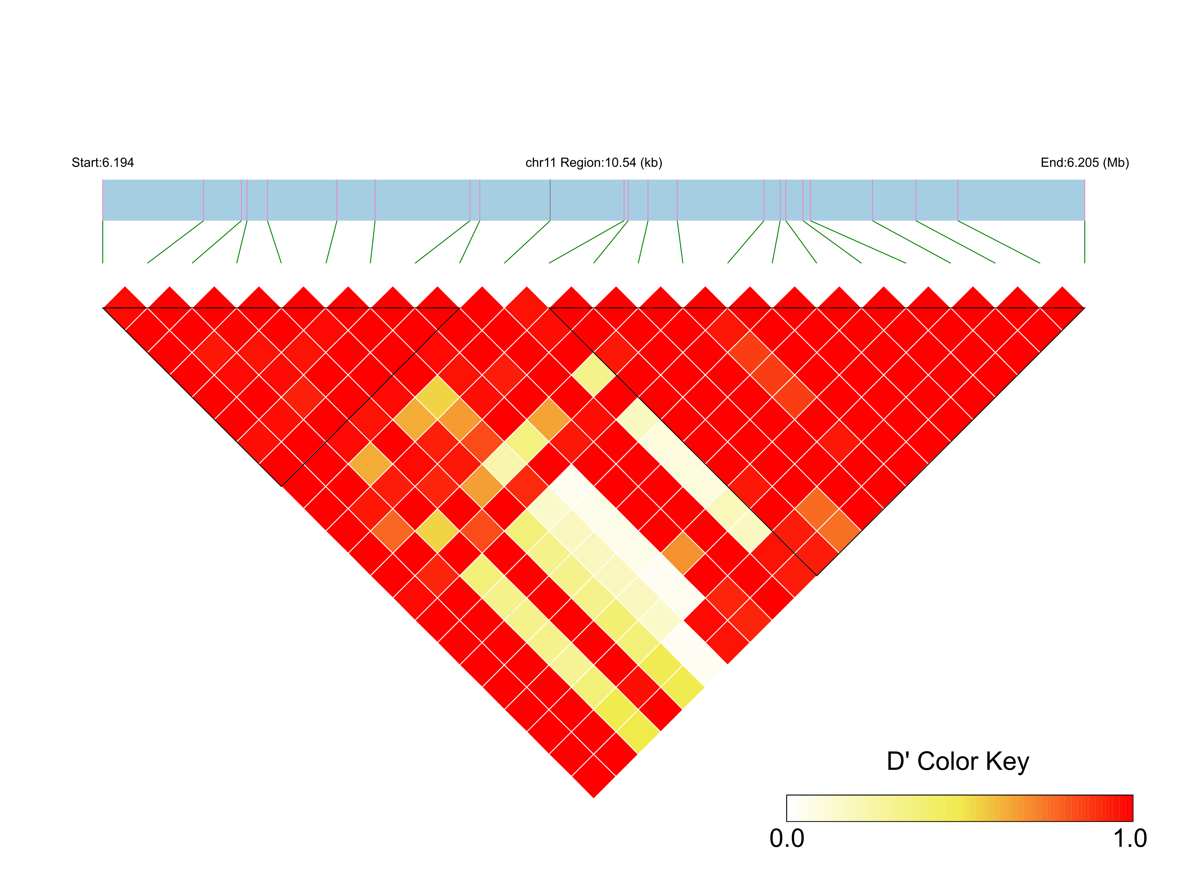 LD