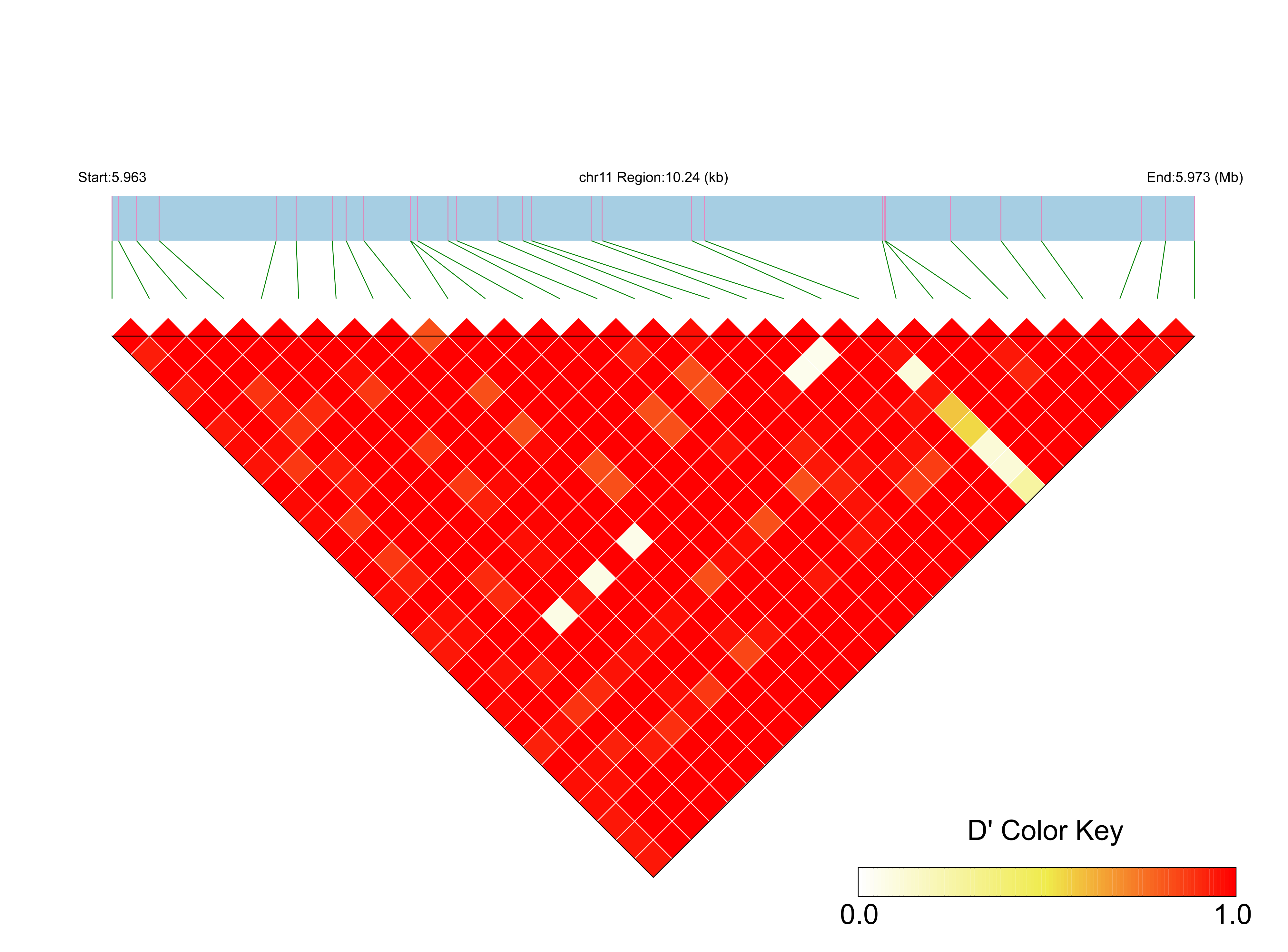 LD