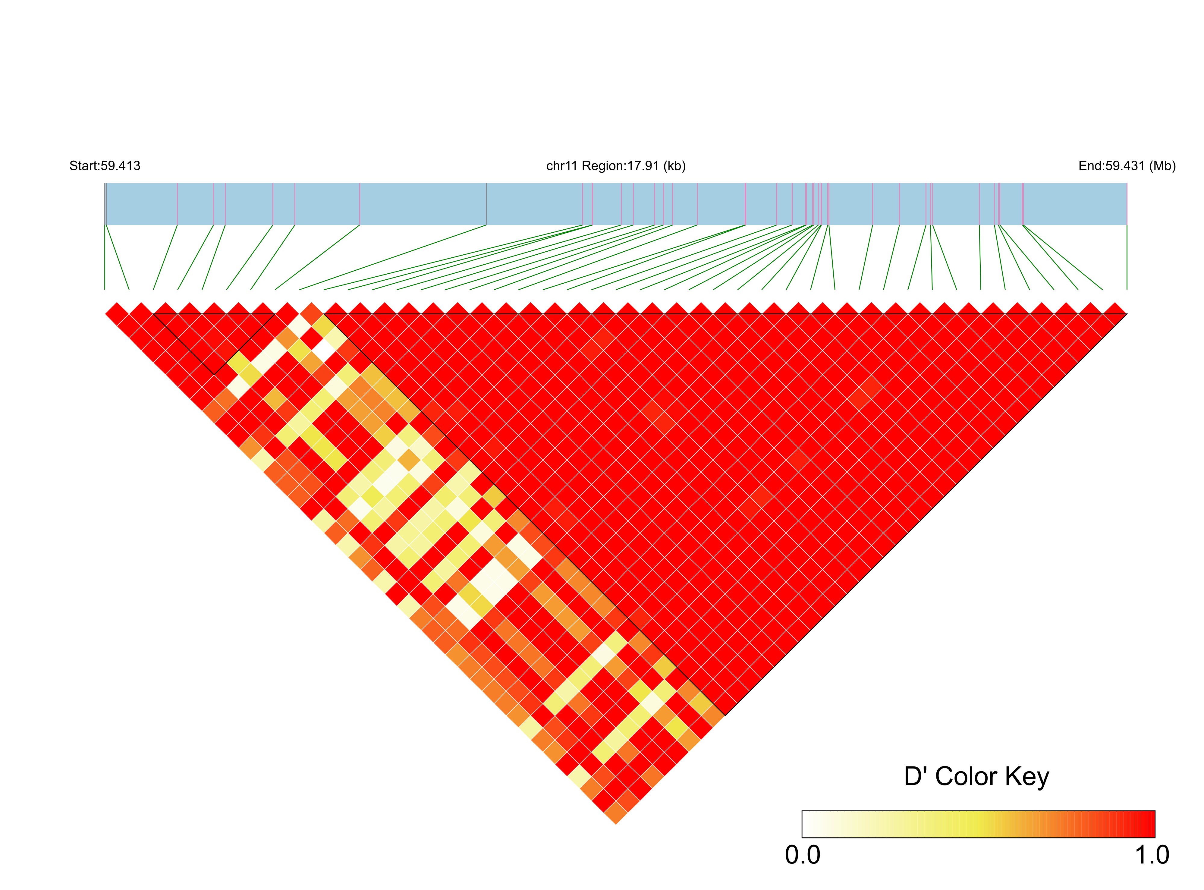 LD
