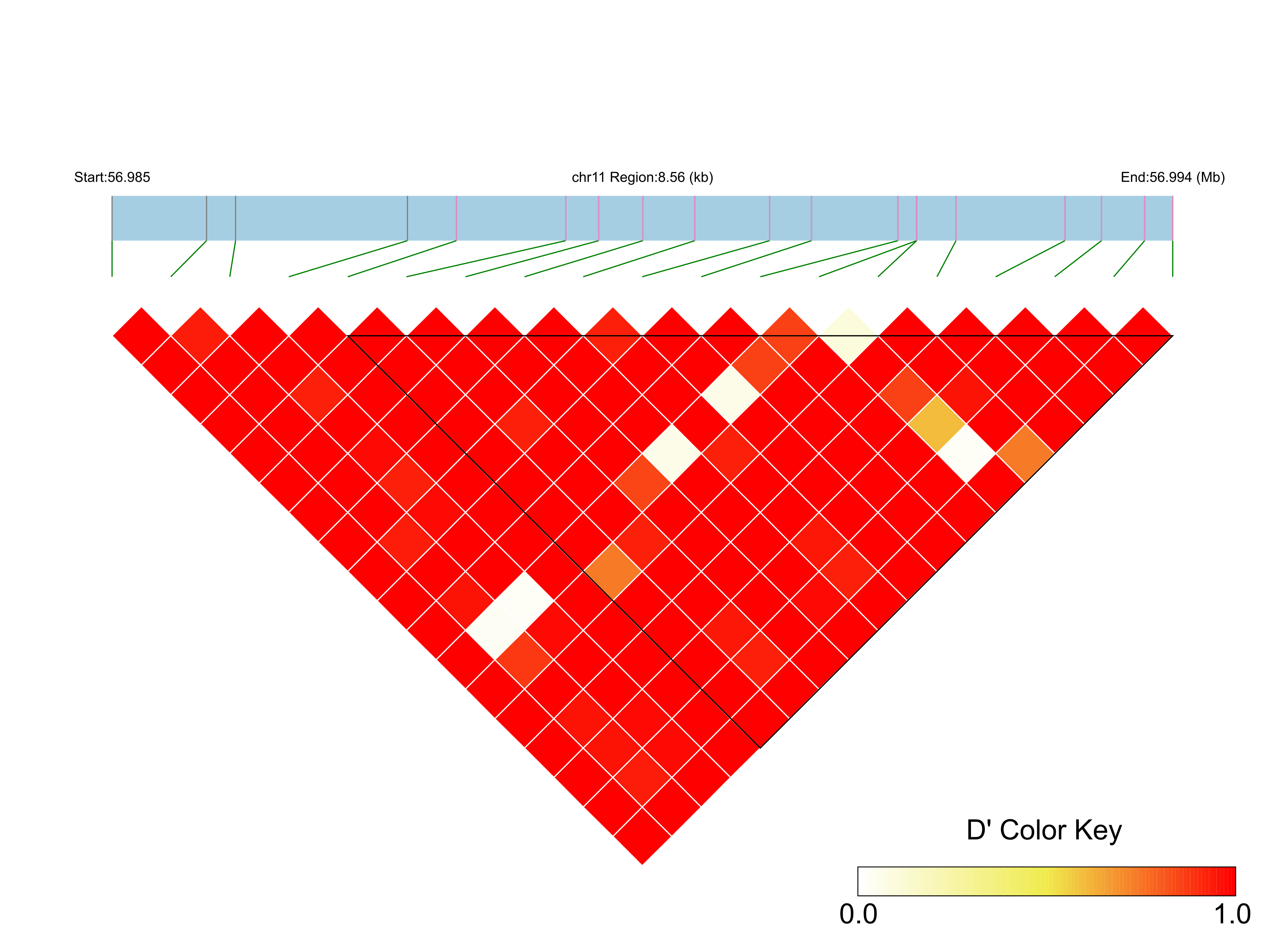 LD