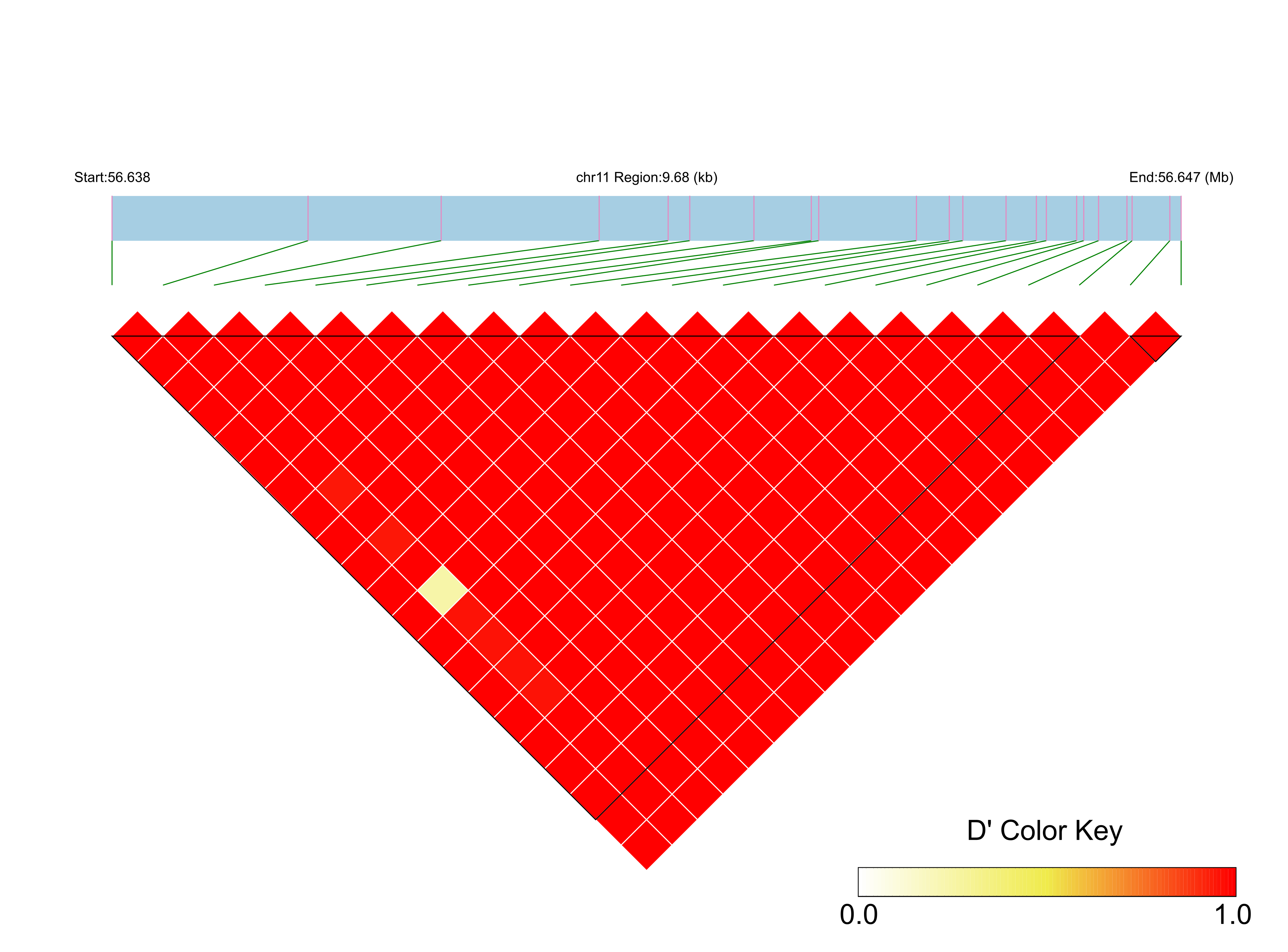 LD