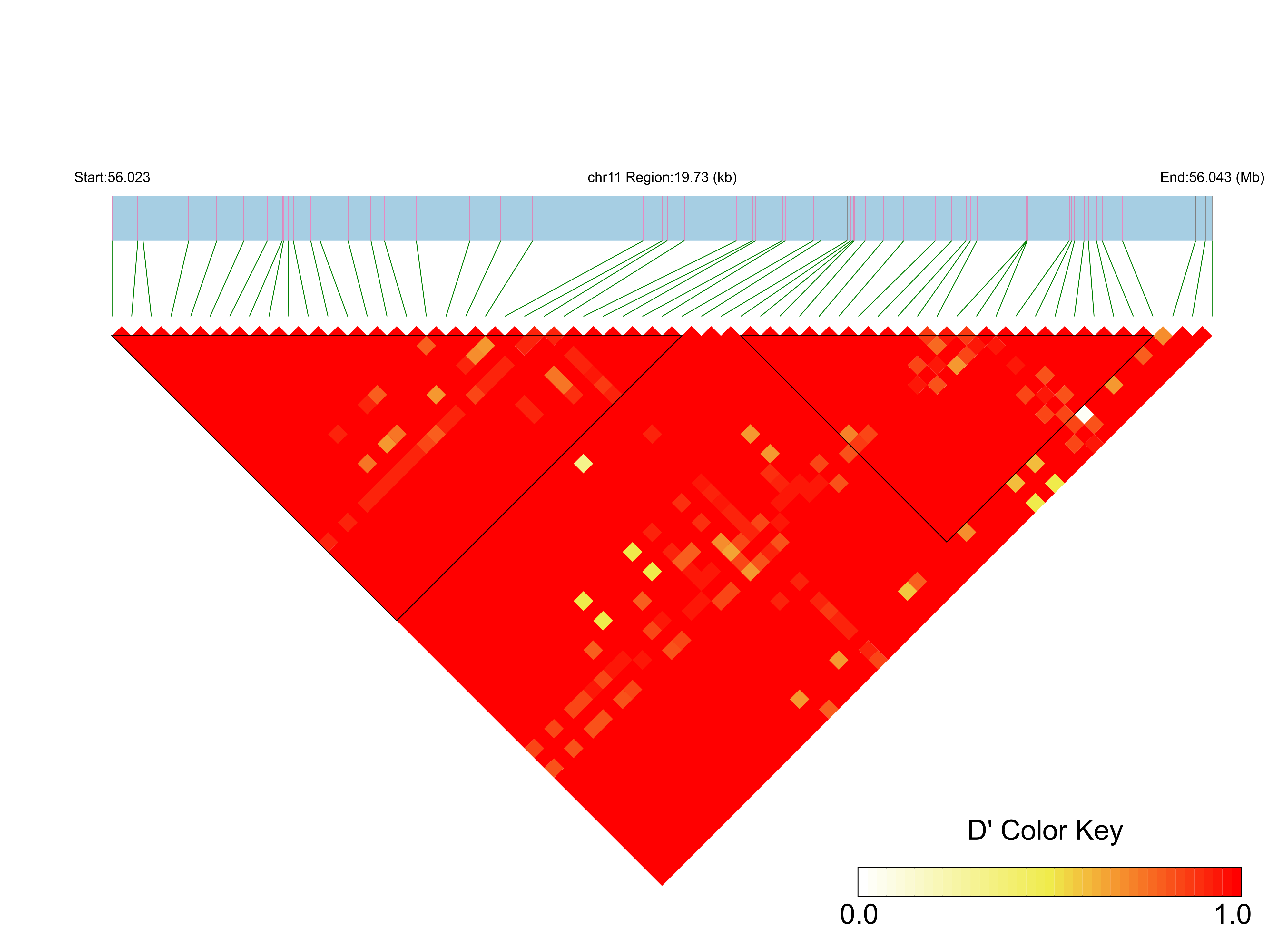 LD