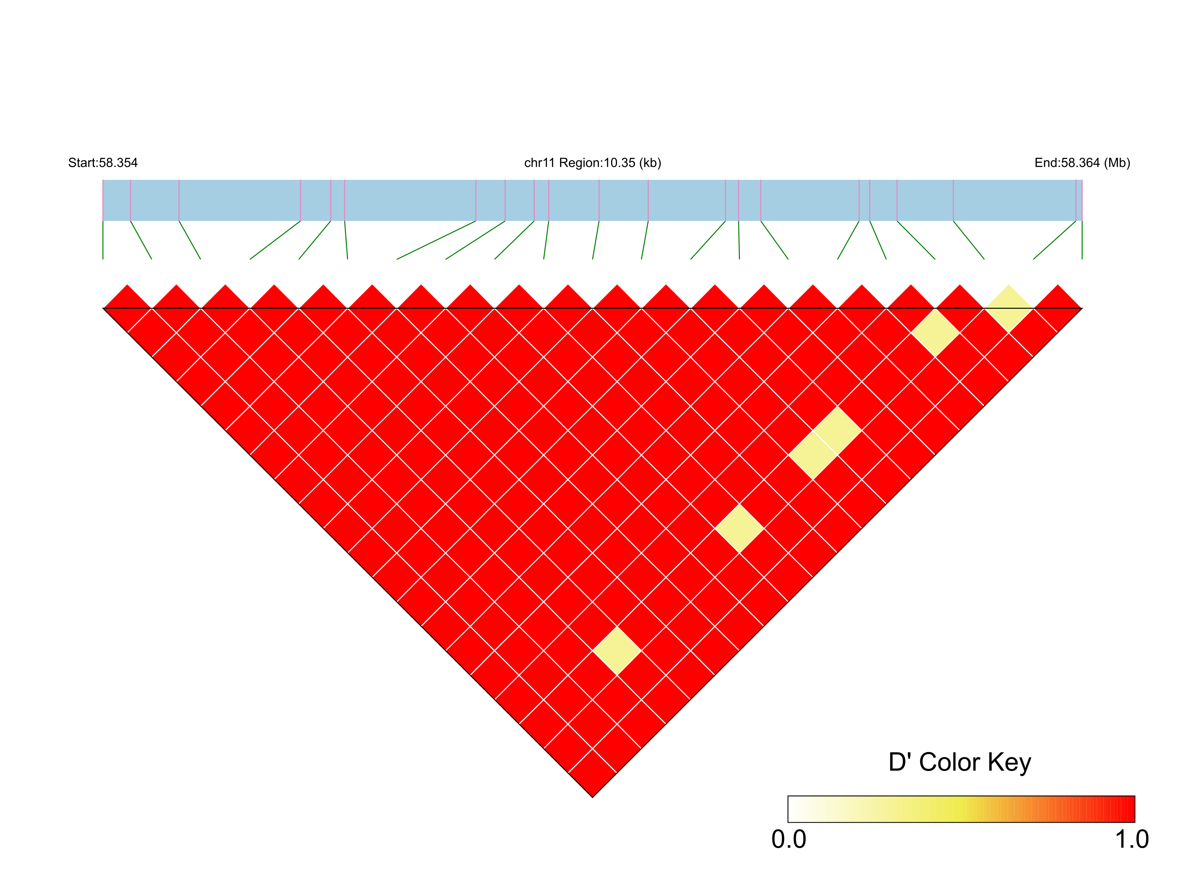 LD
