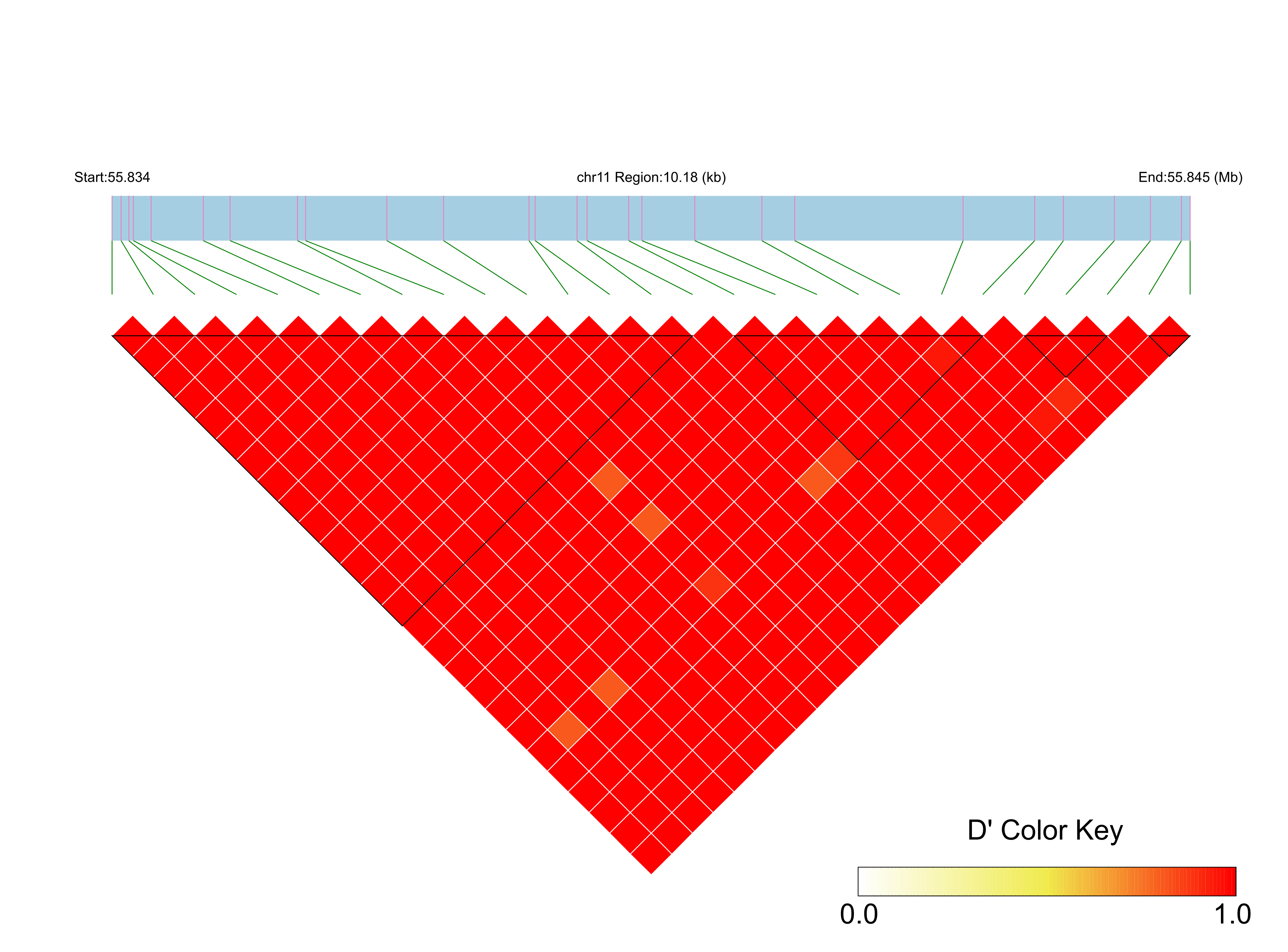 LD