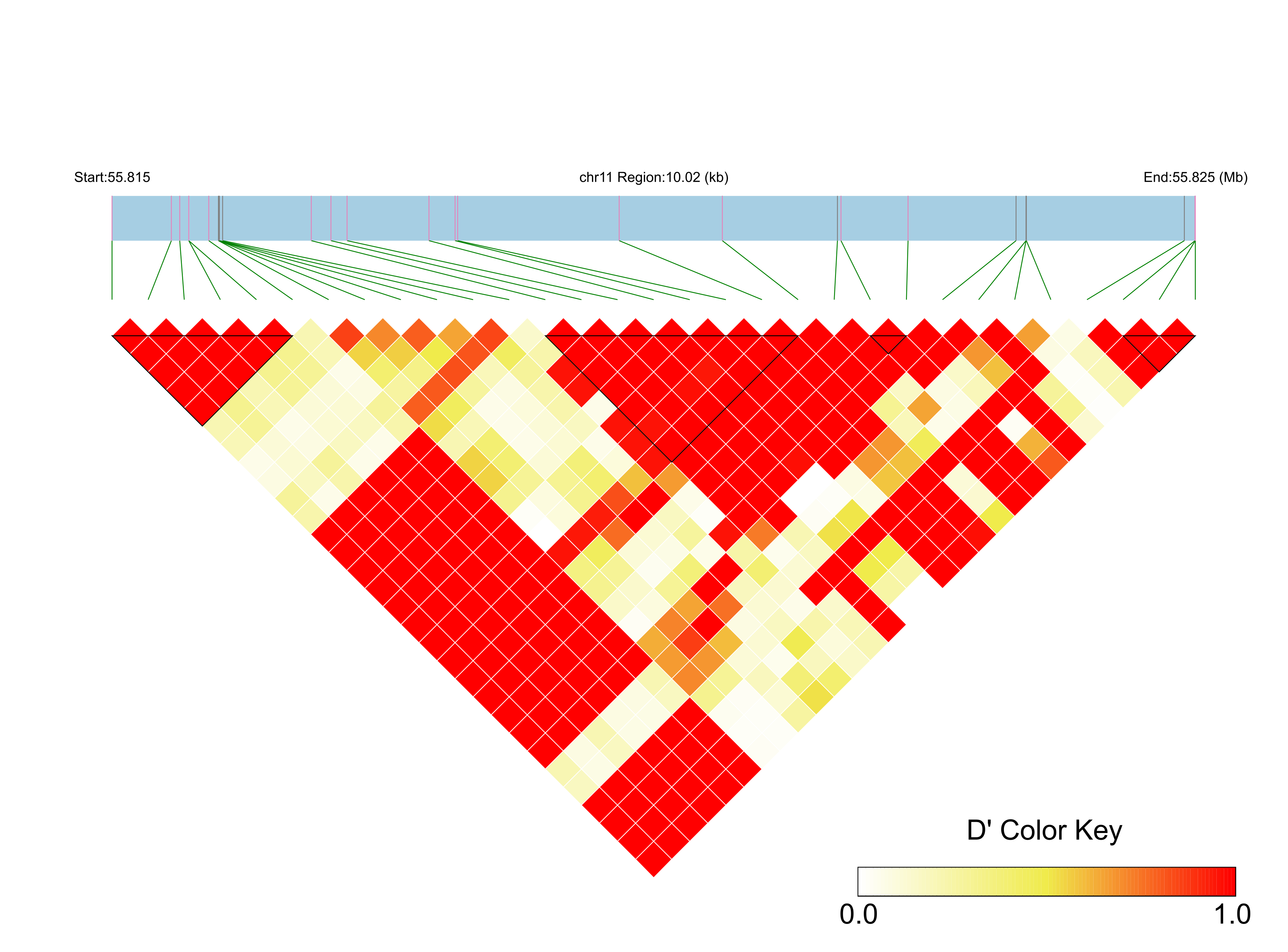 LD