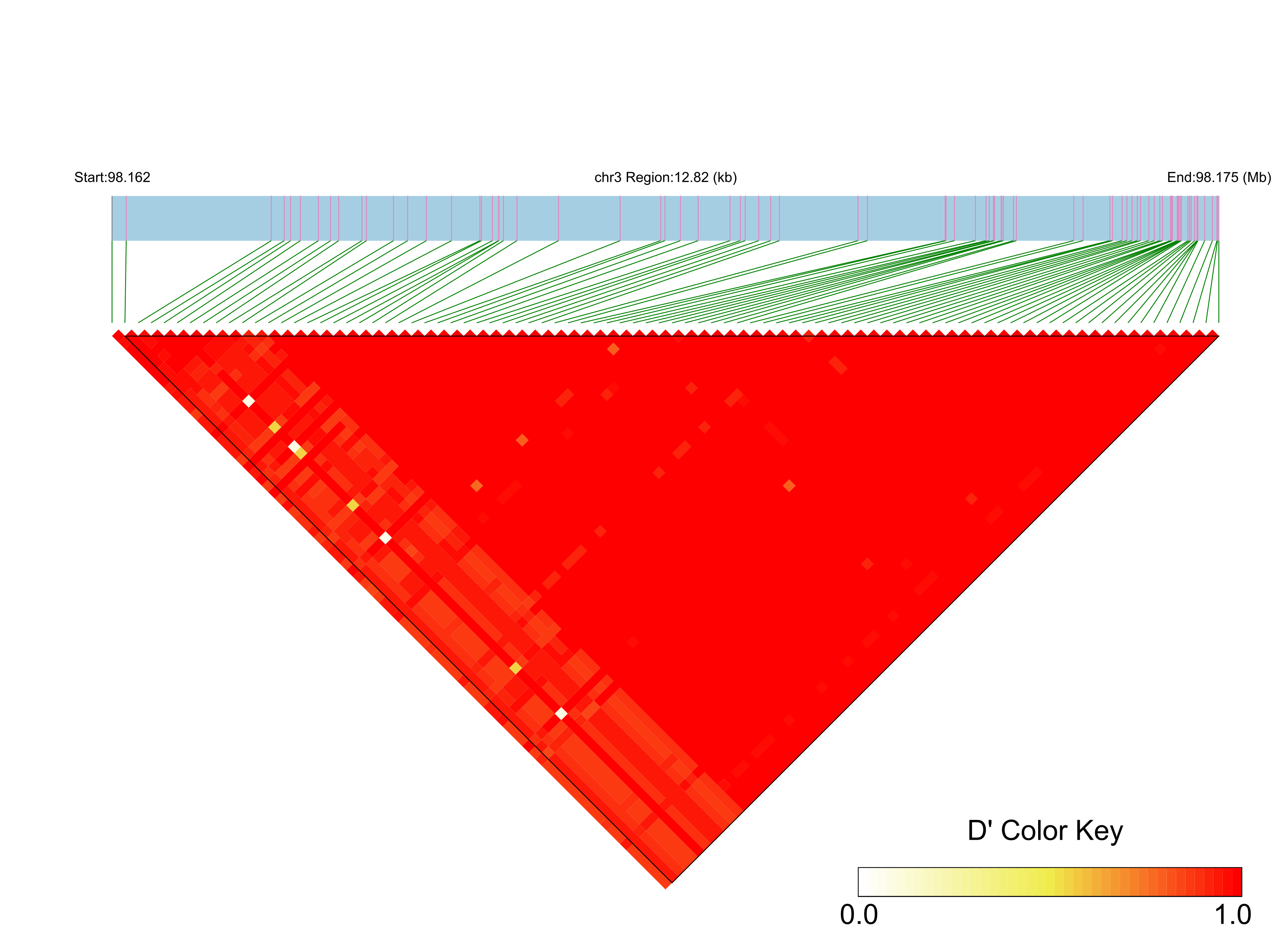 LD