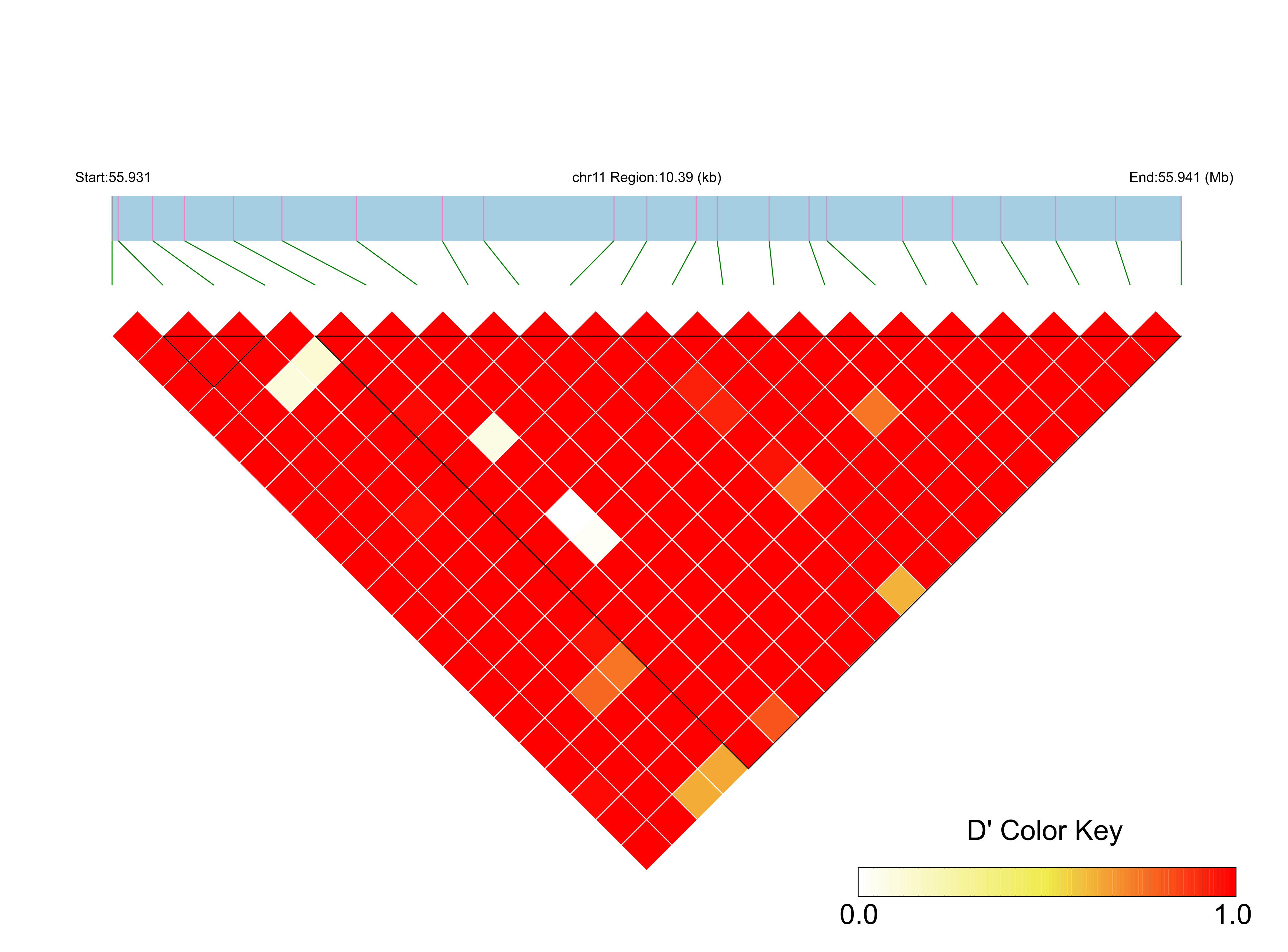 LD