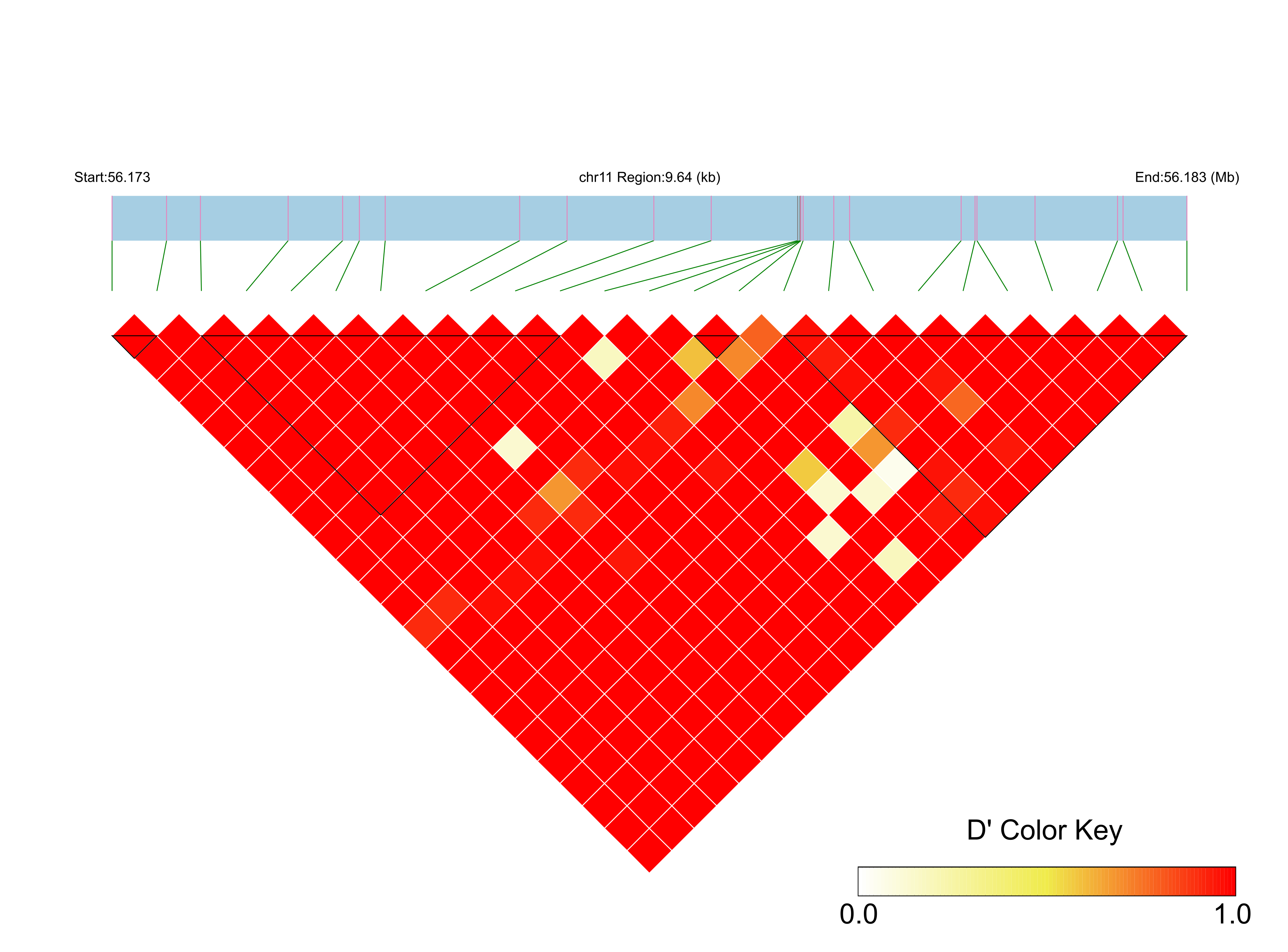 LD
