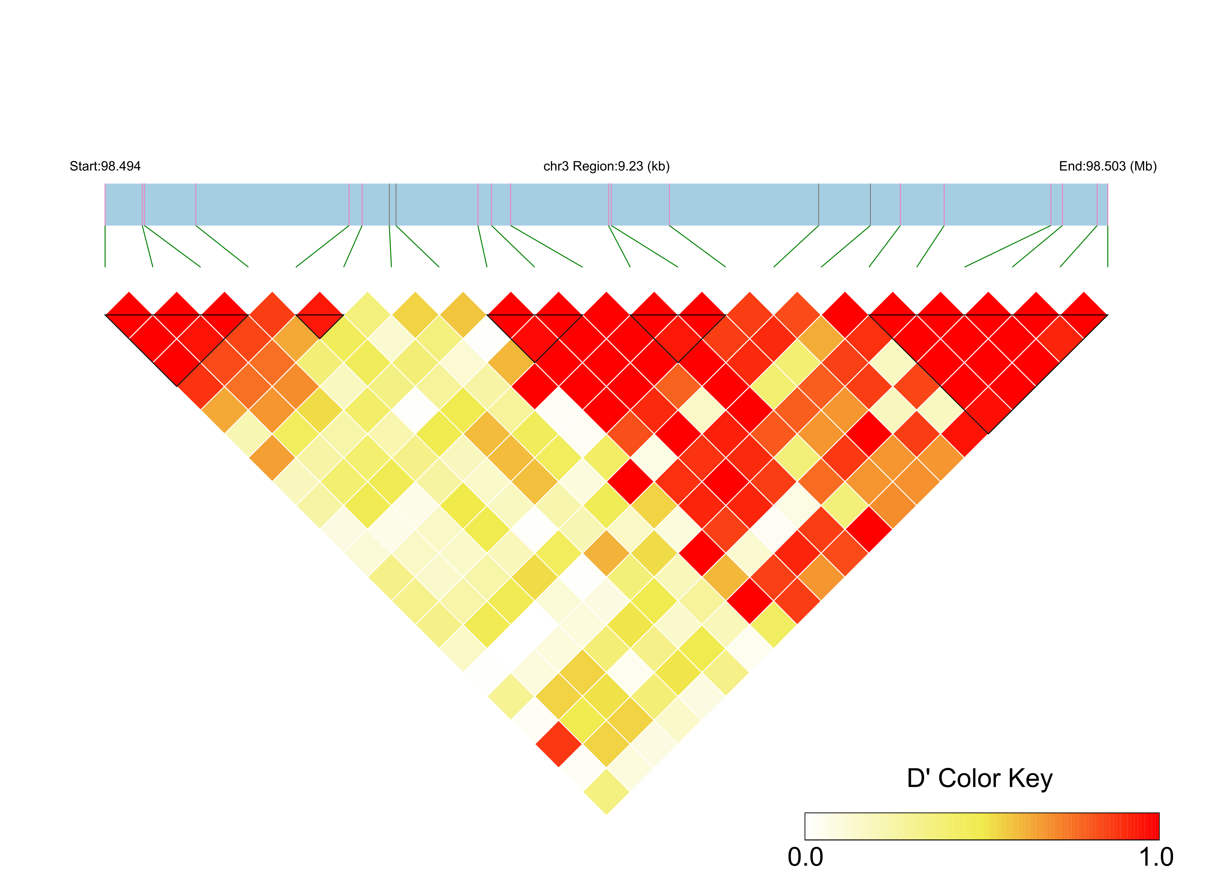LD