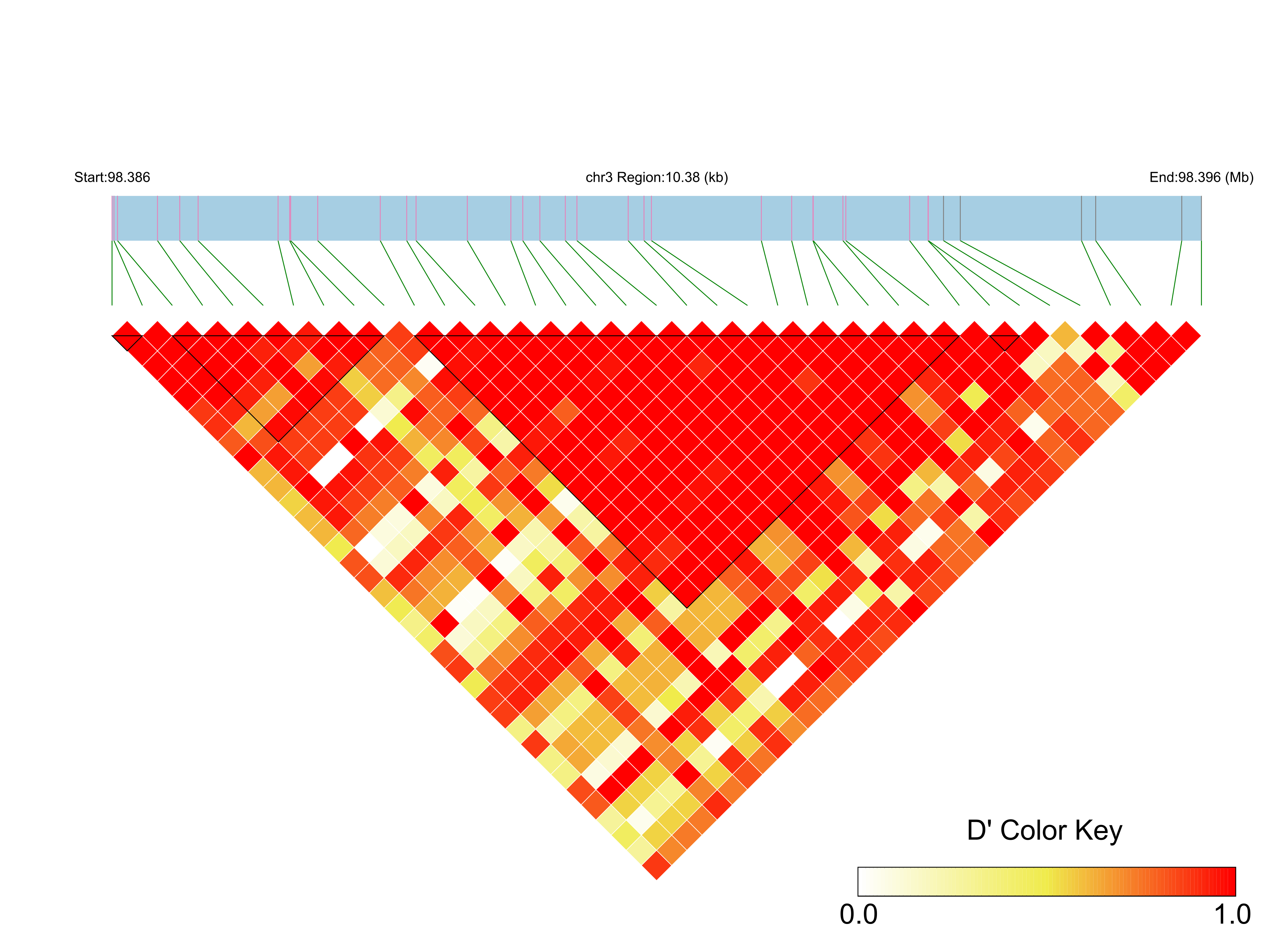 LD