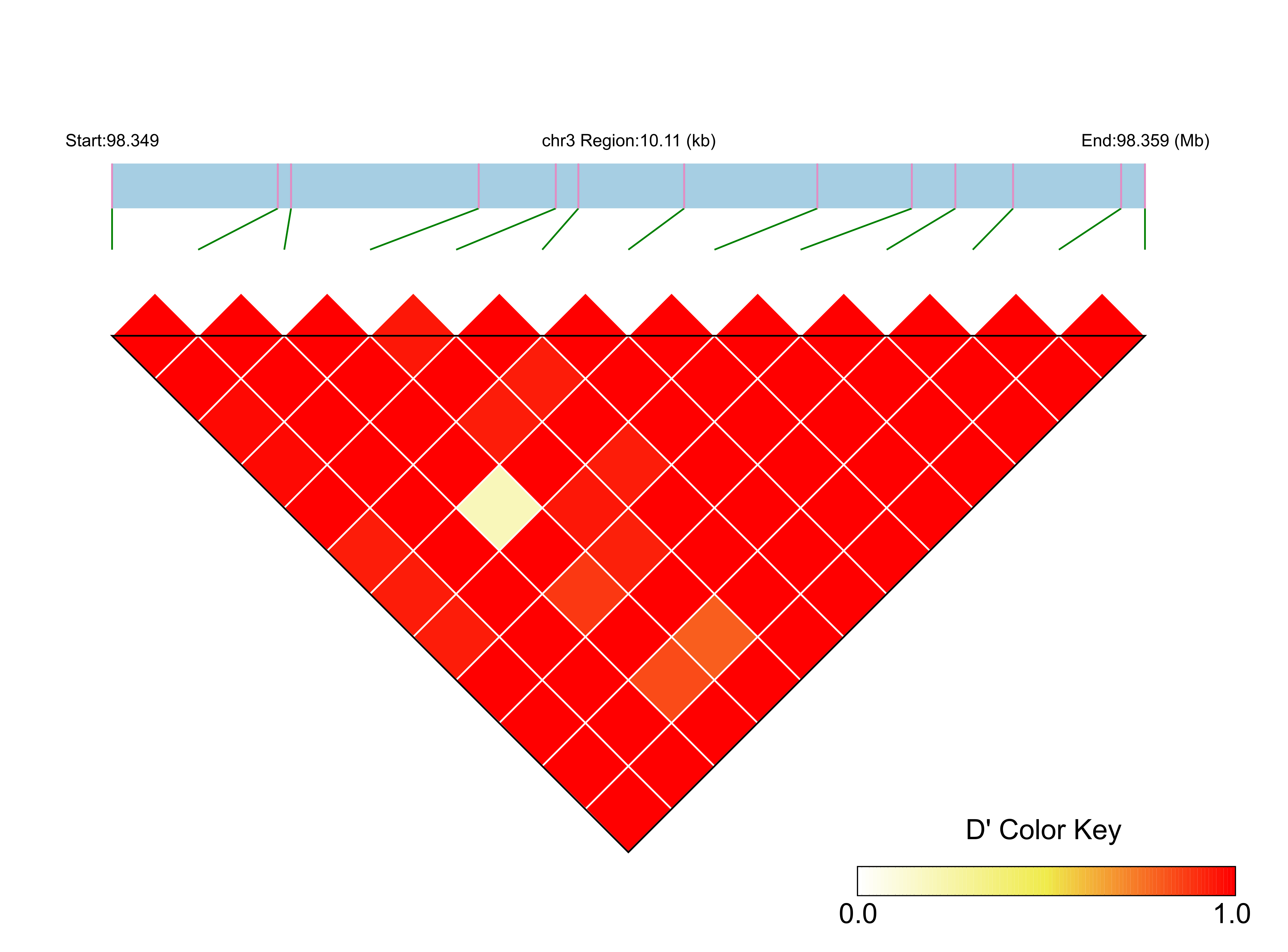 LD