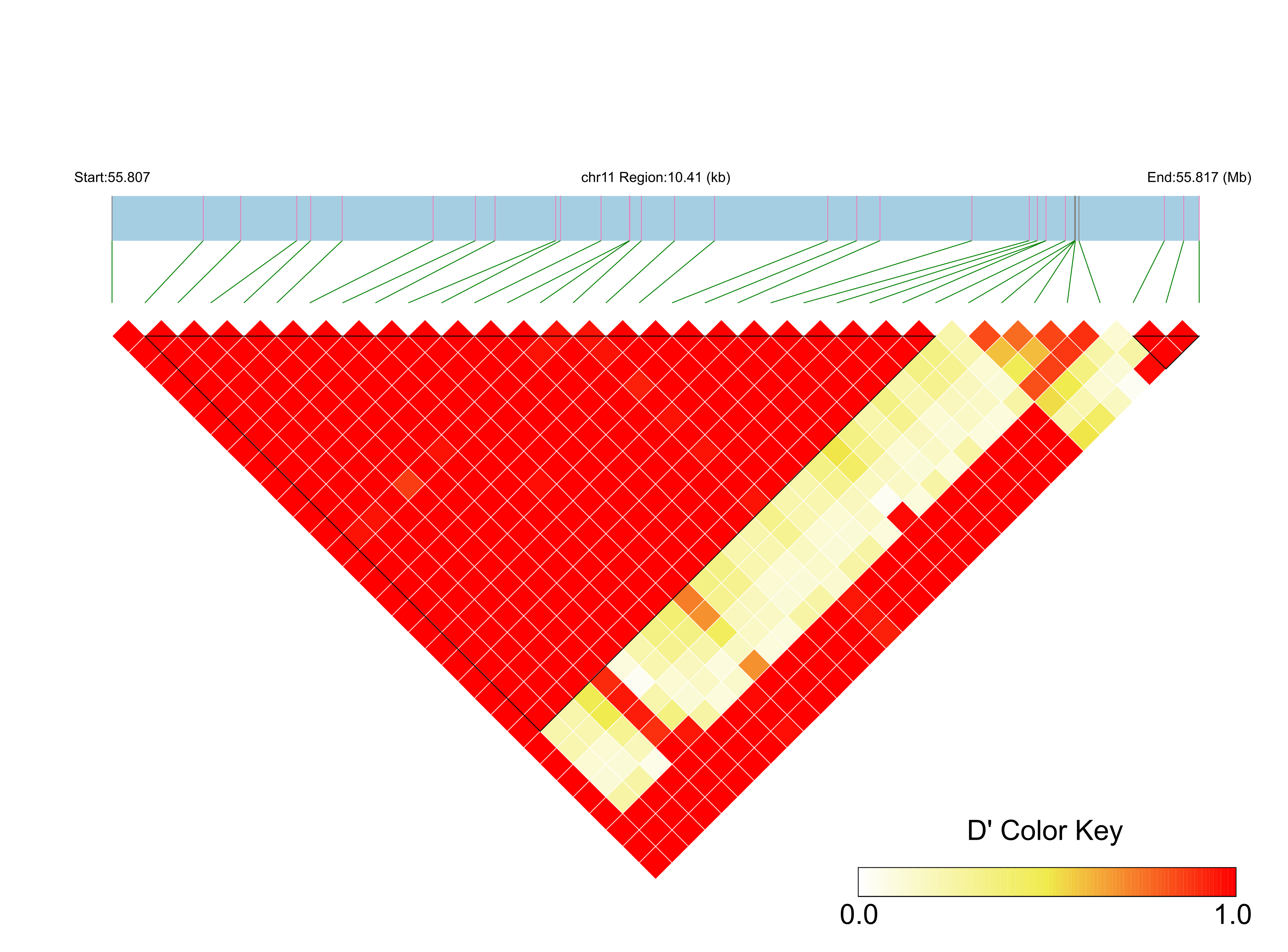 LD