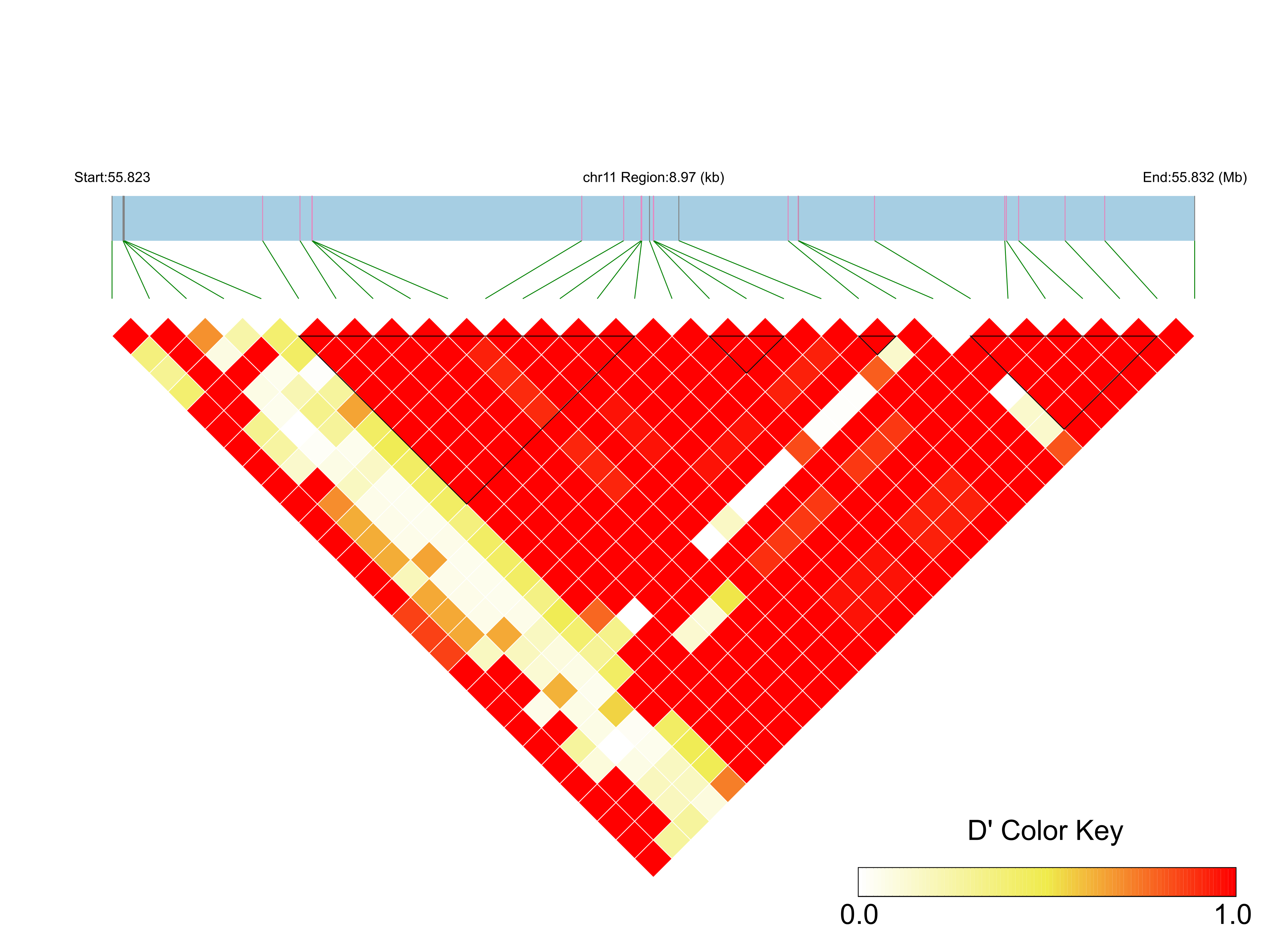 LD
