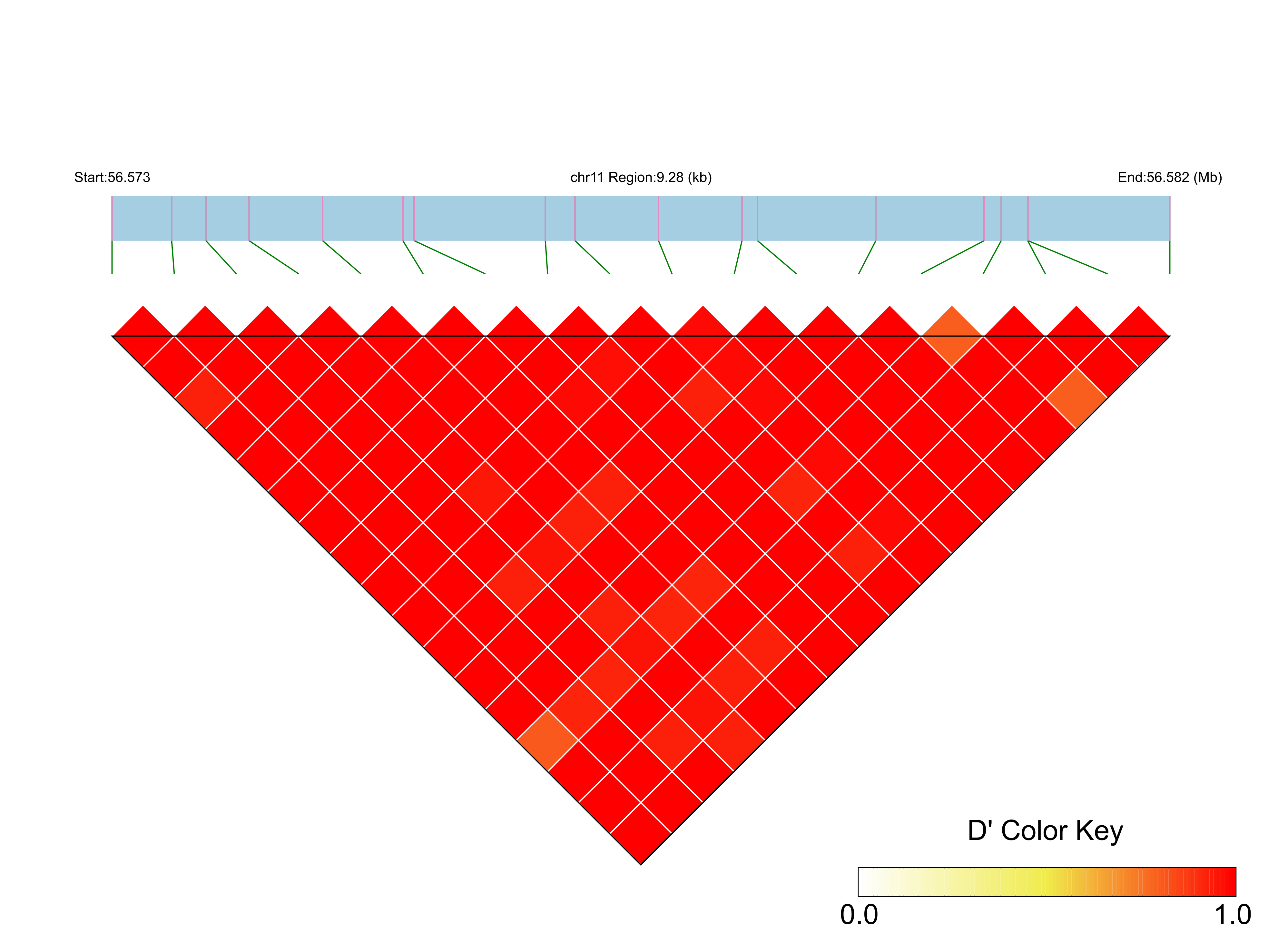 LD