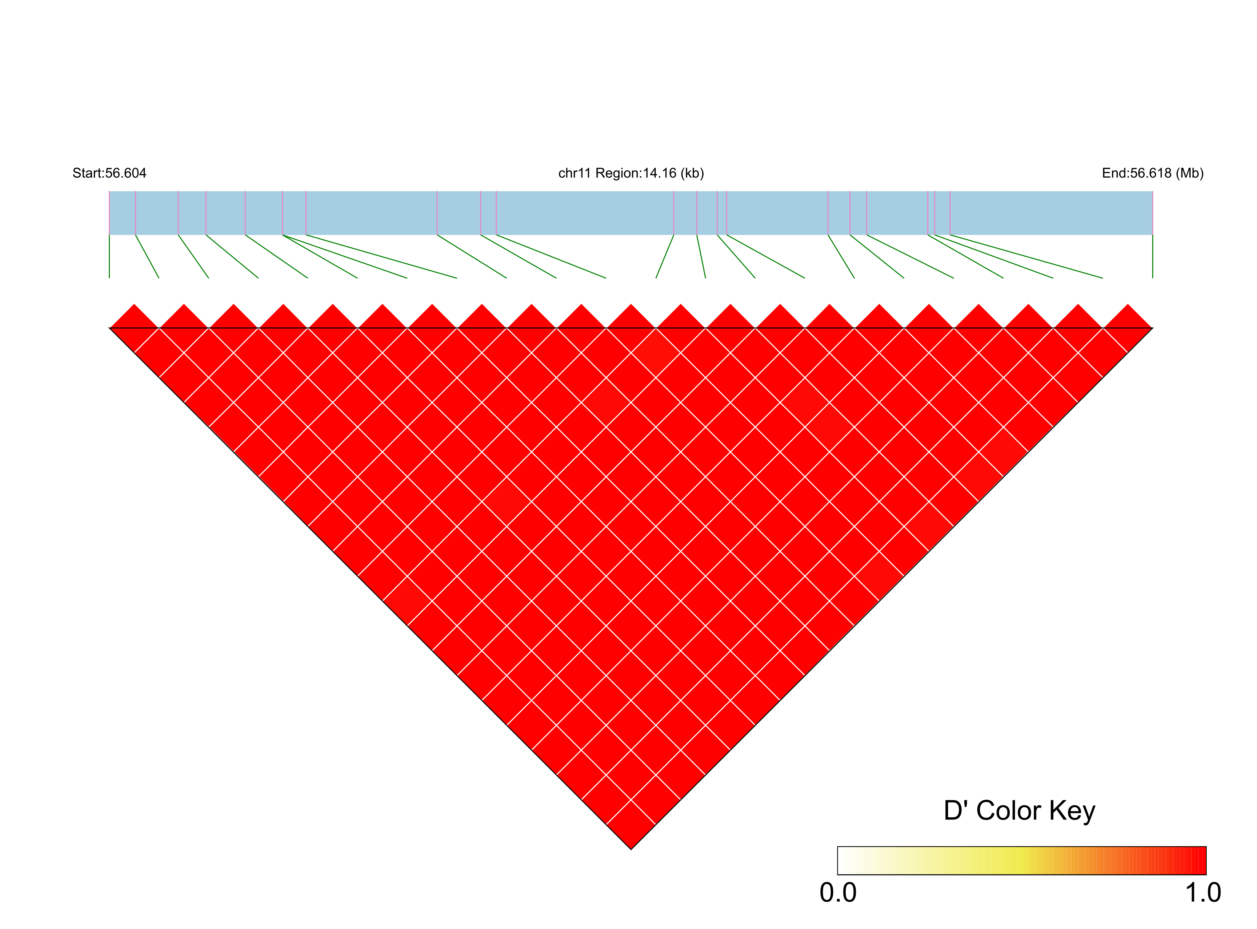 LD