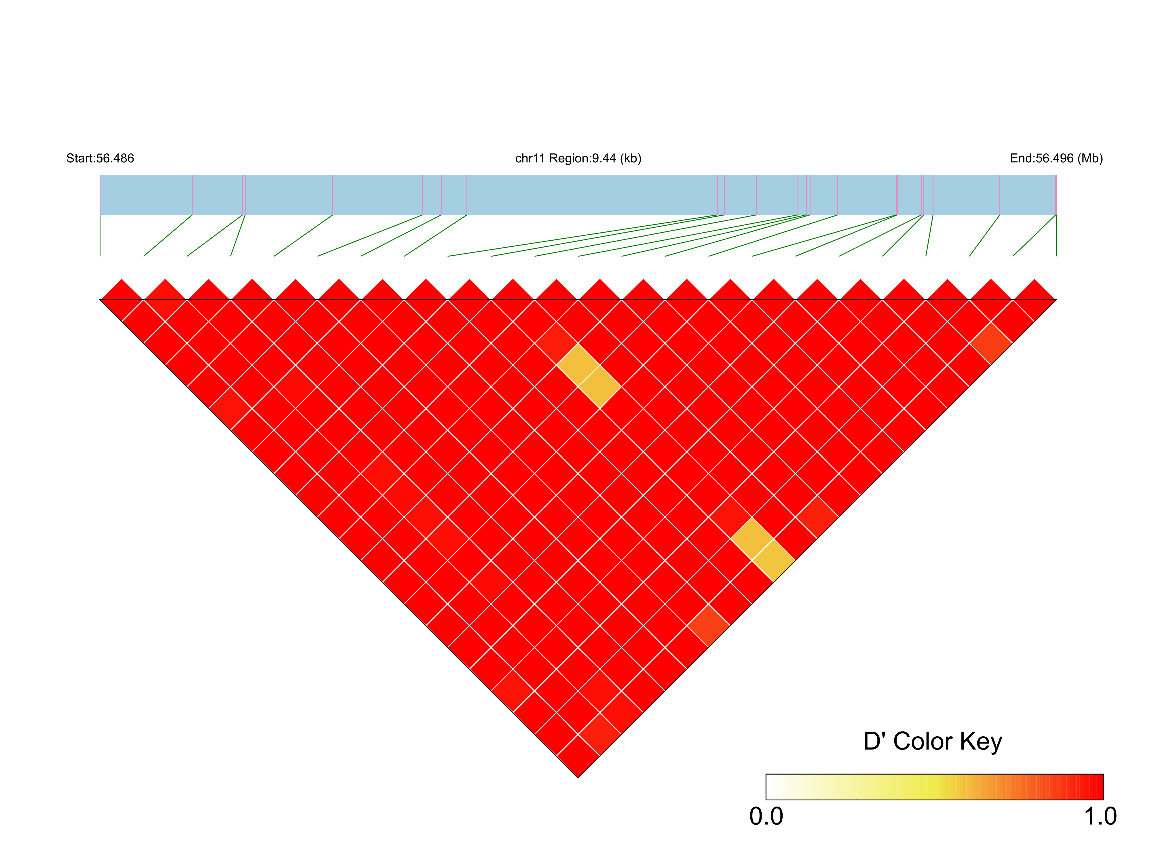 LD