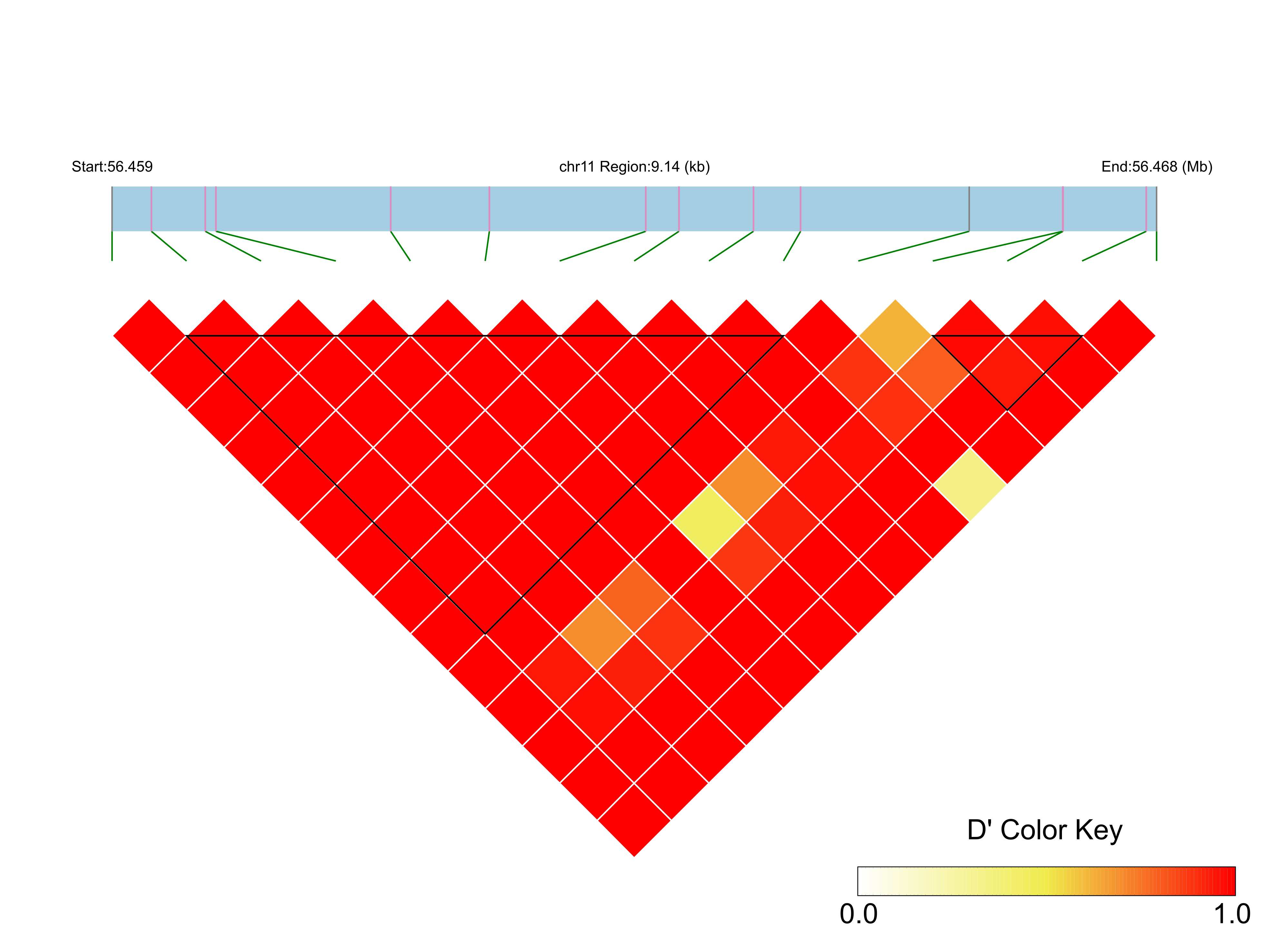 LD