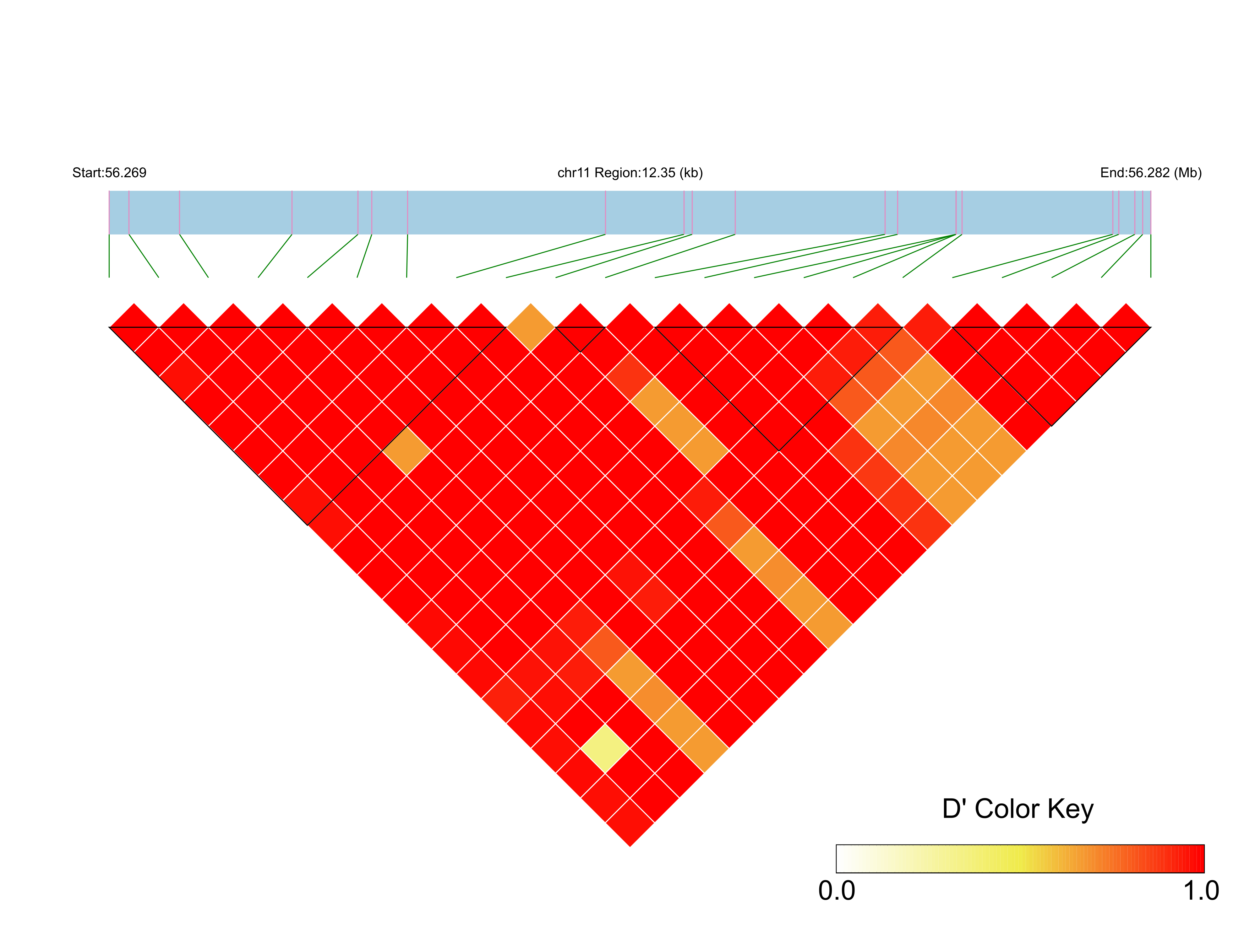 LD