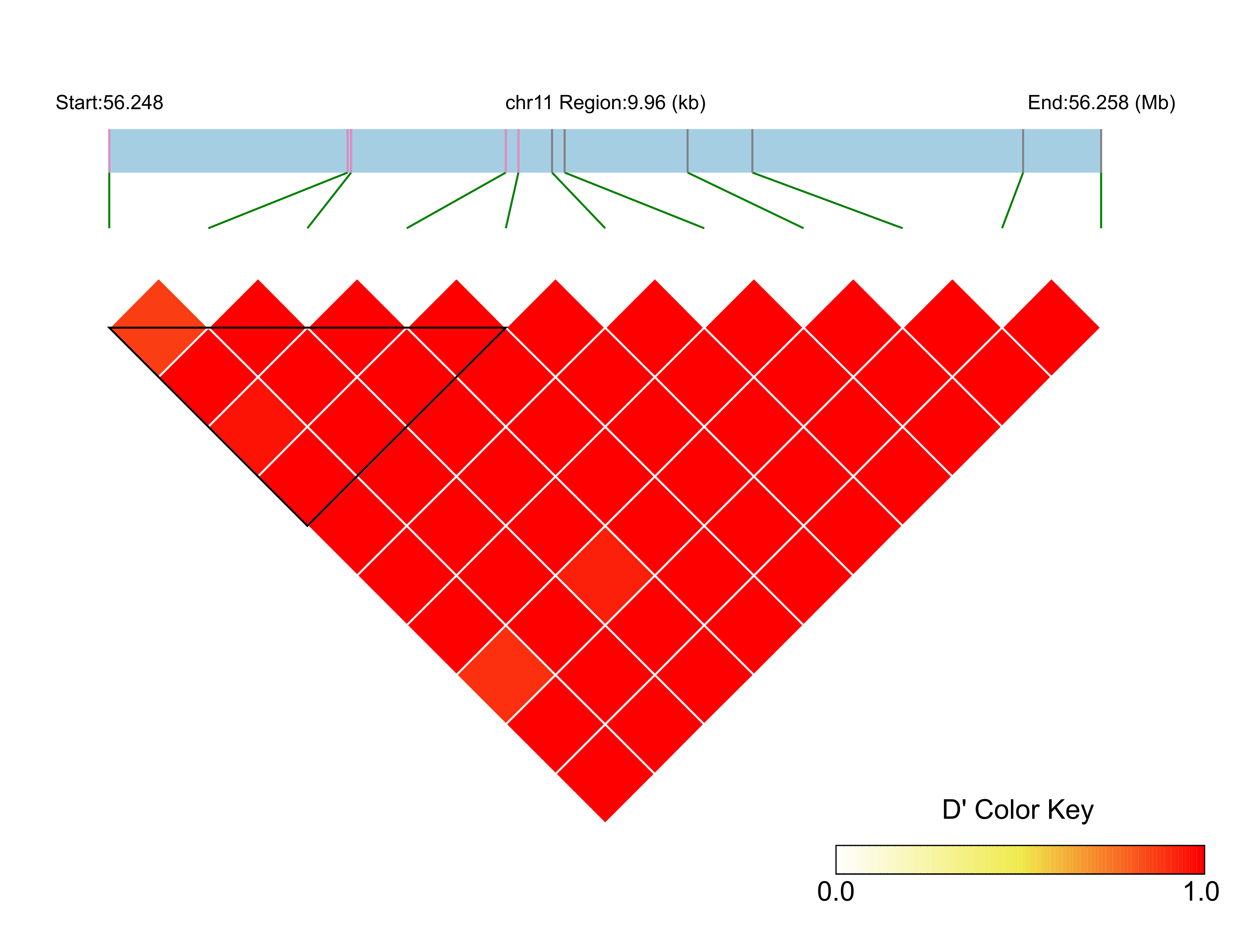 LD