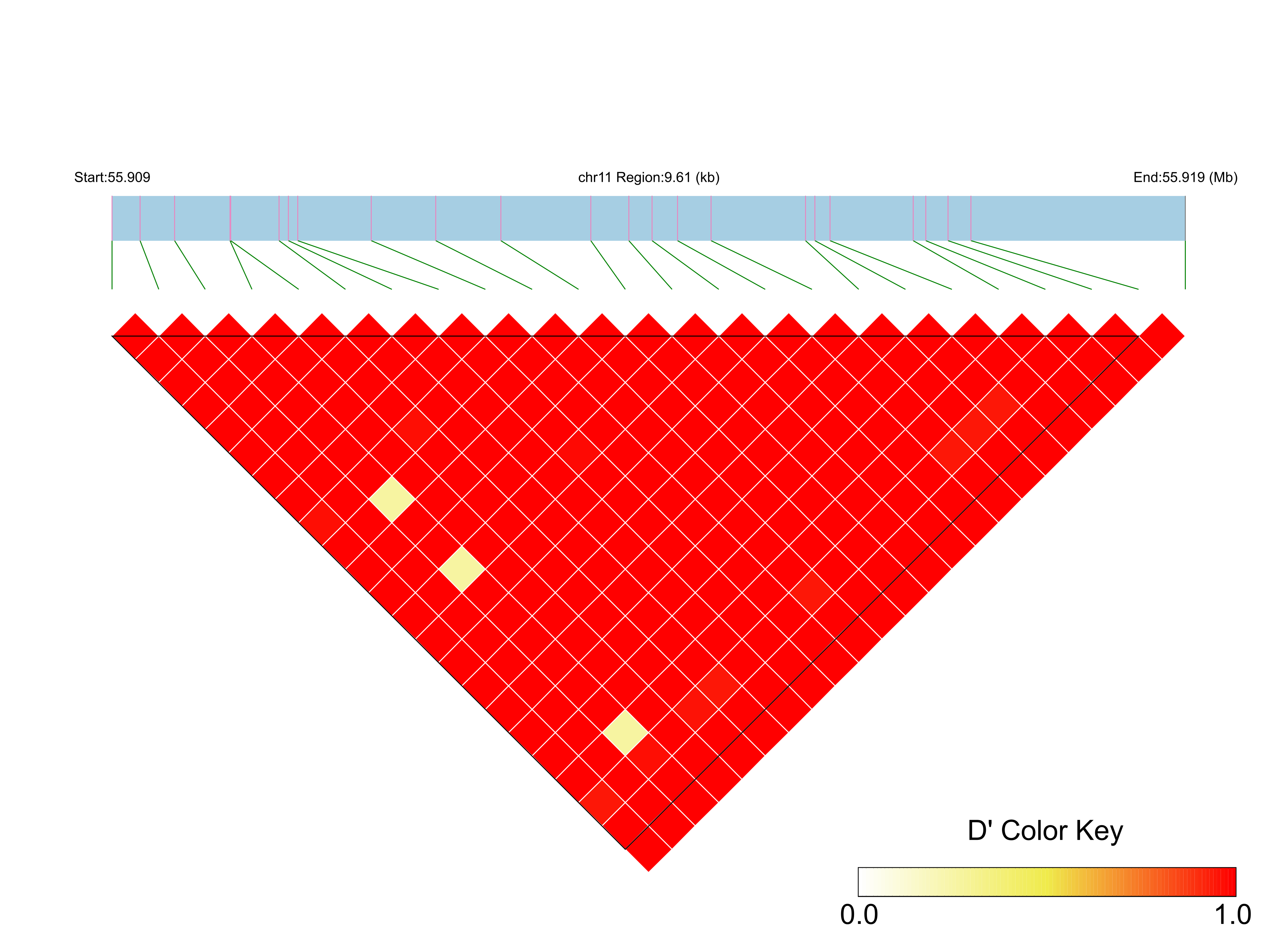 LD