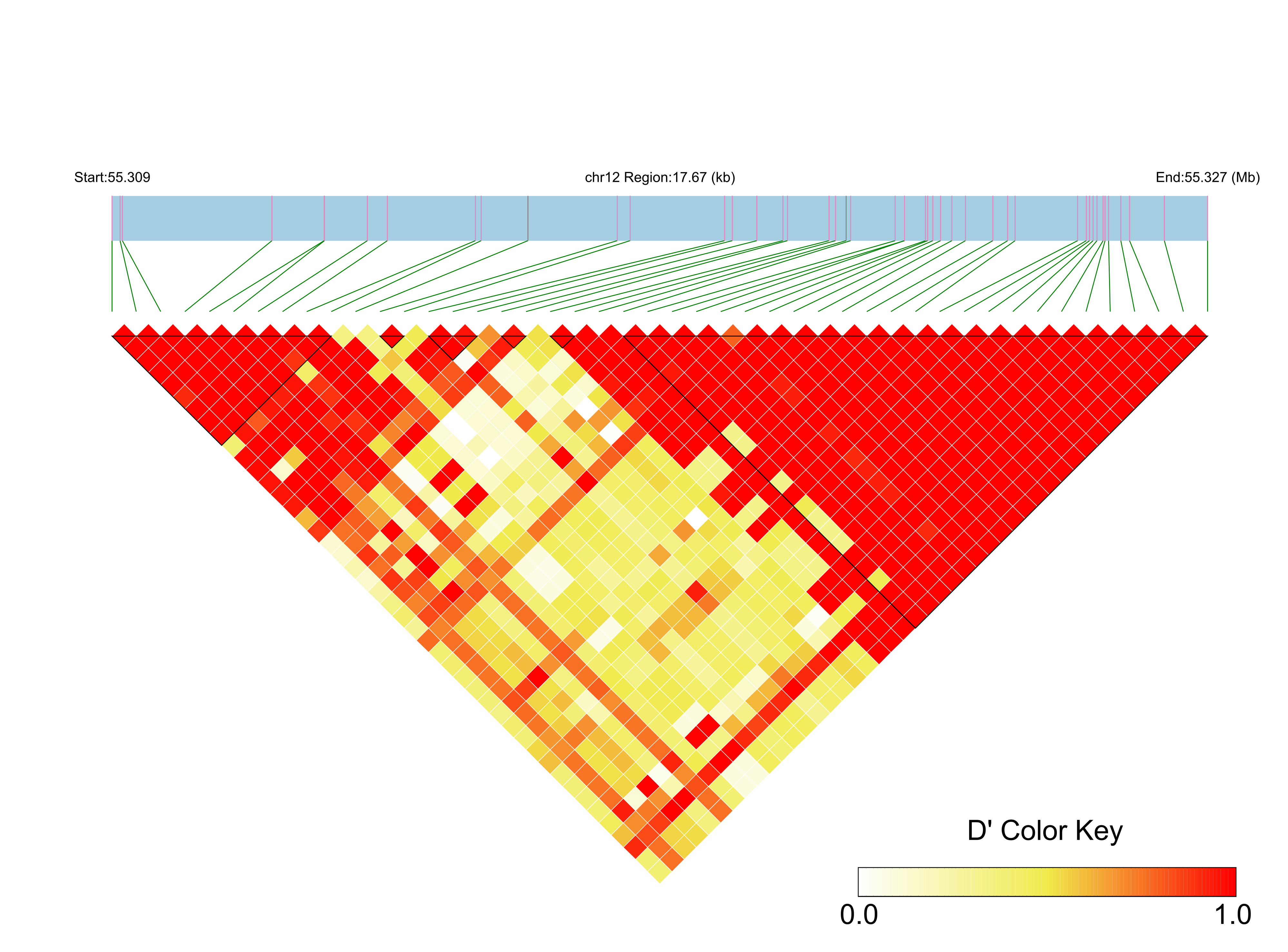 LD