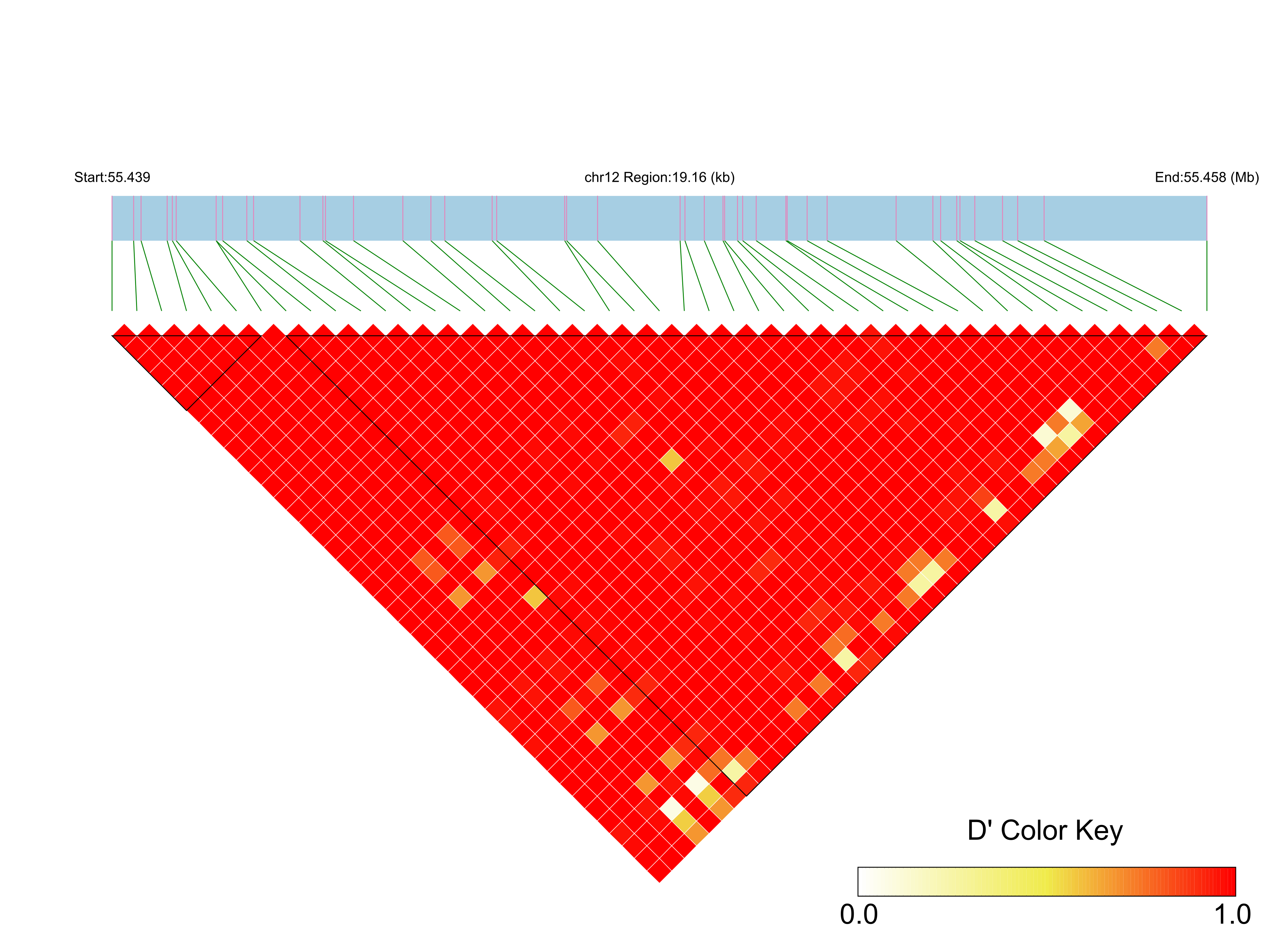 LD