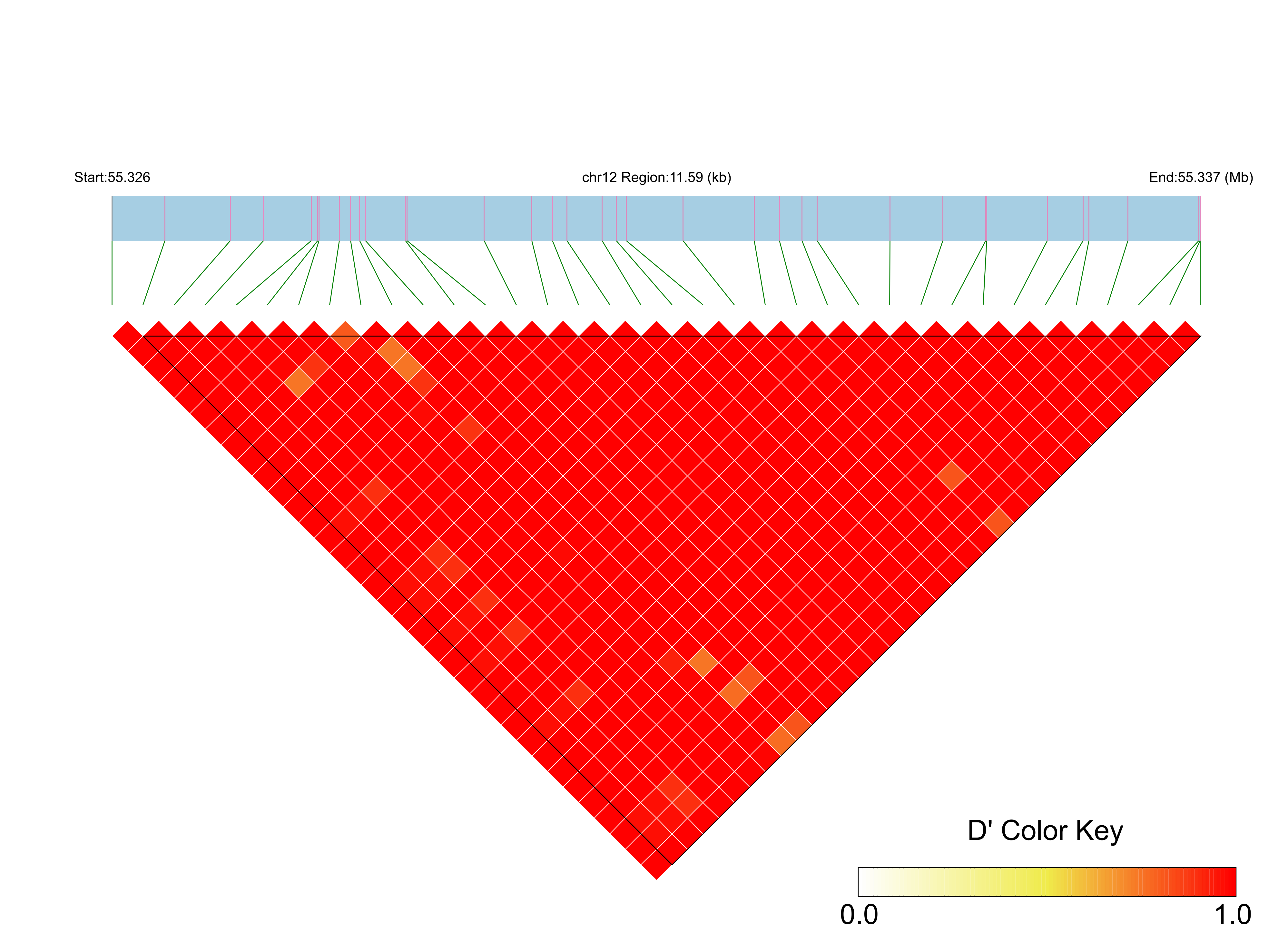 LD