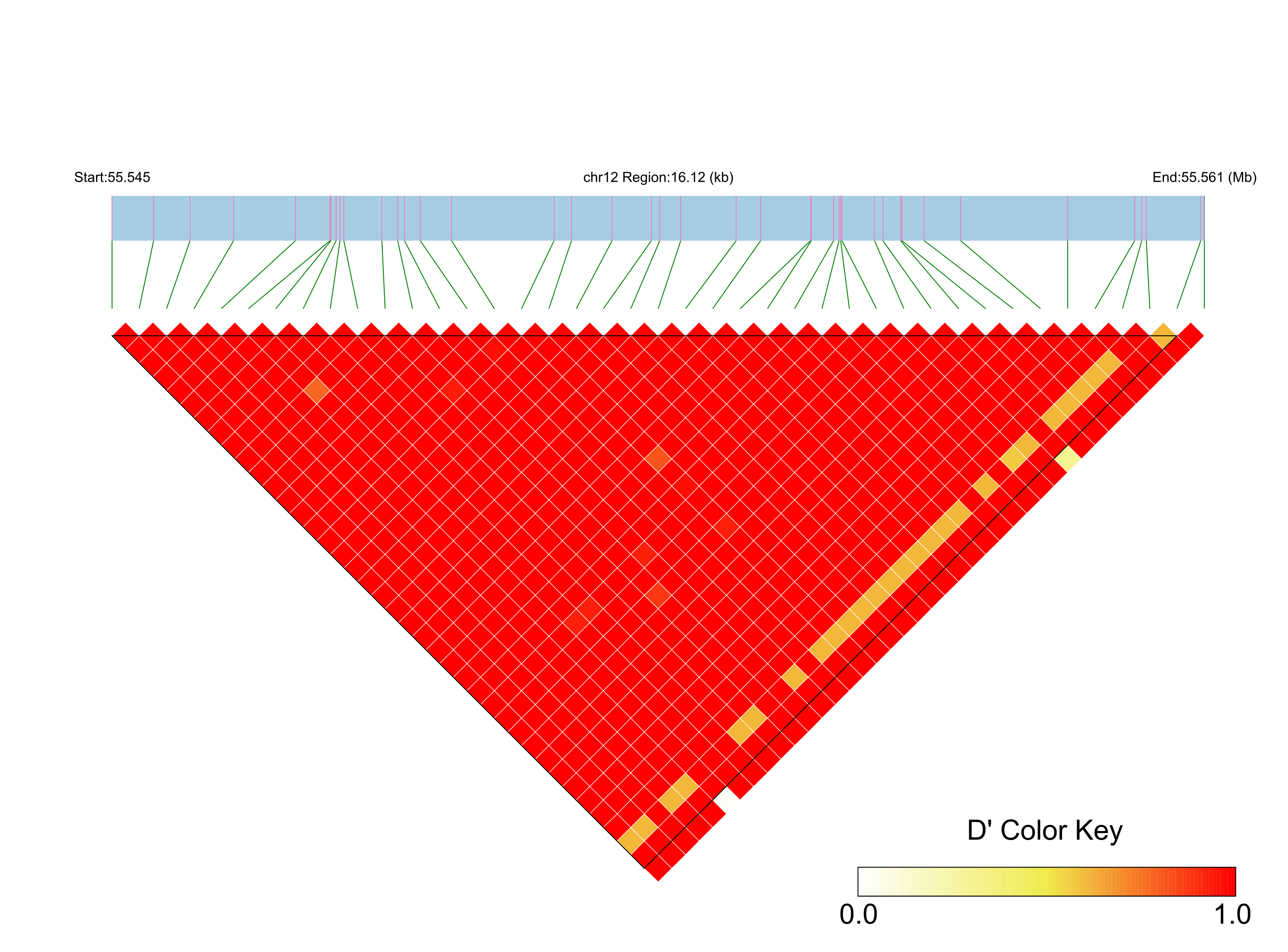 LD